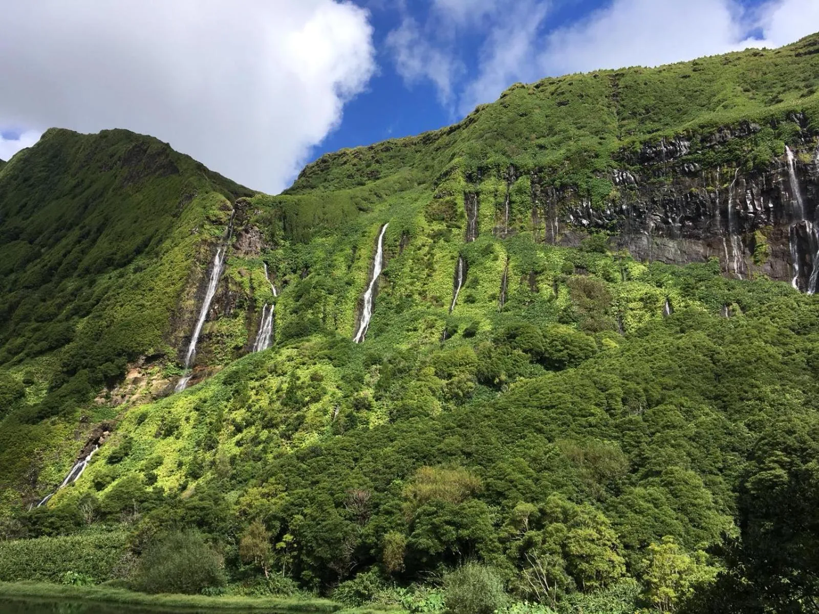 Natural landscape in Casa da Ribeira