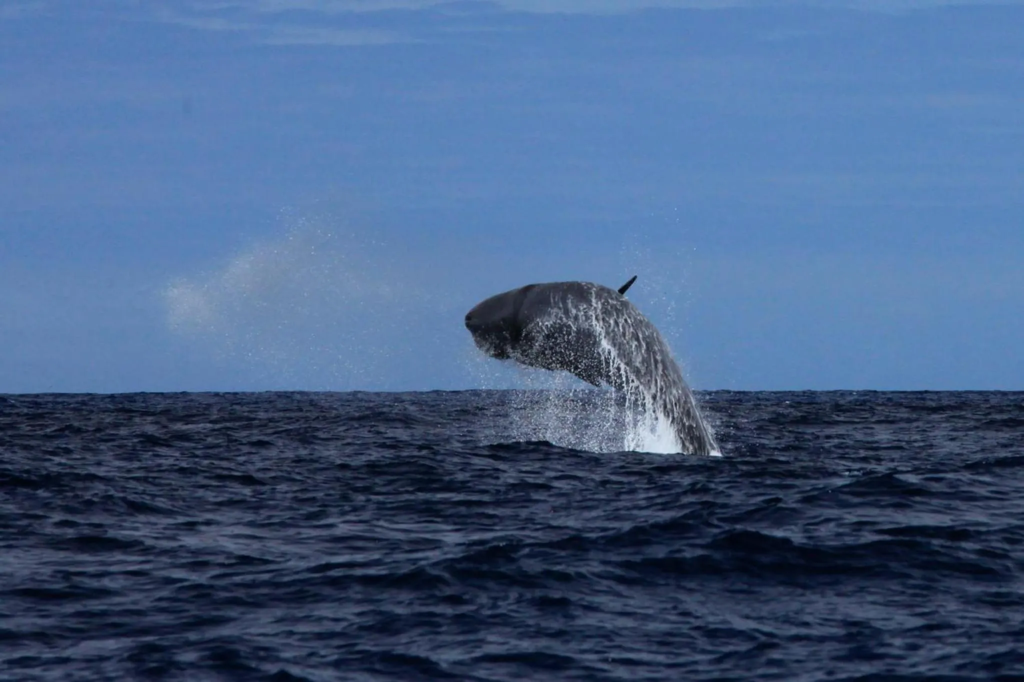 Natural landscape in Casa da Ribeira