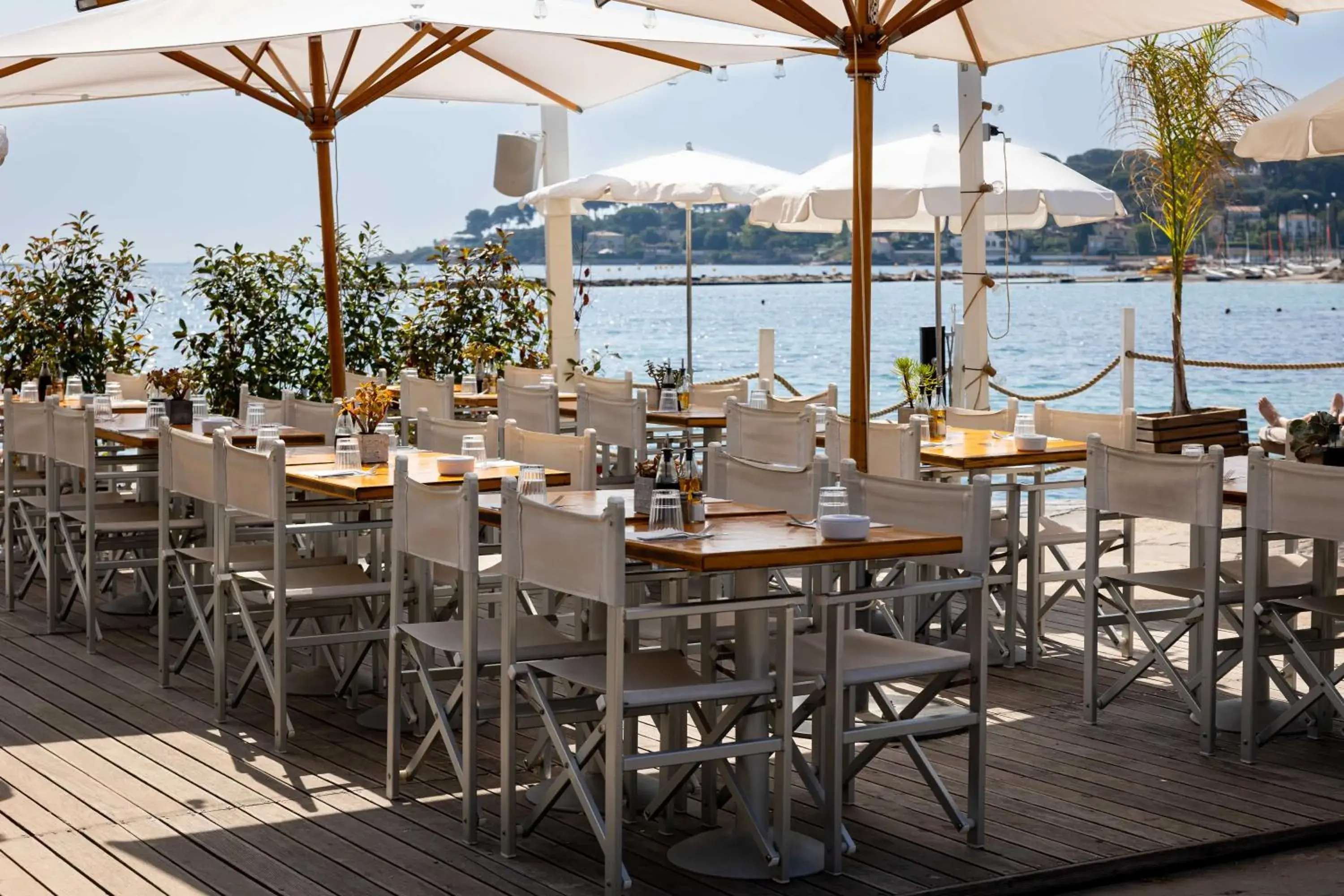 Restaurant/places to eat in Royal Antibes - Luxury Hotel, Résidence, Beach & Spa Restaurant/places to eat in Royal Antibes - Luxury Hotel, Résidence, Beach & Spa