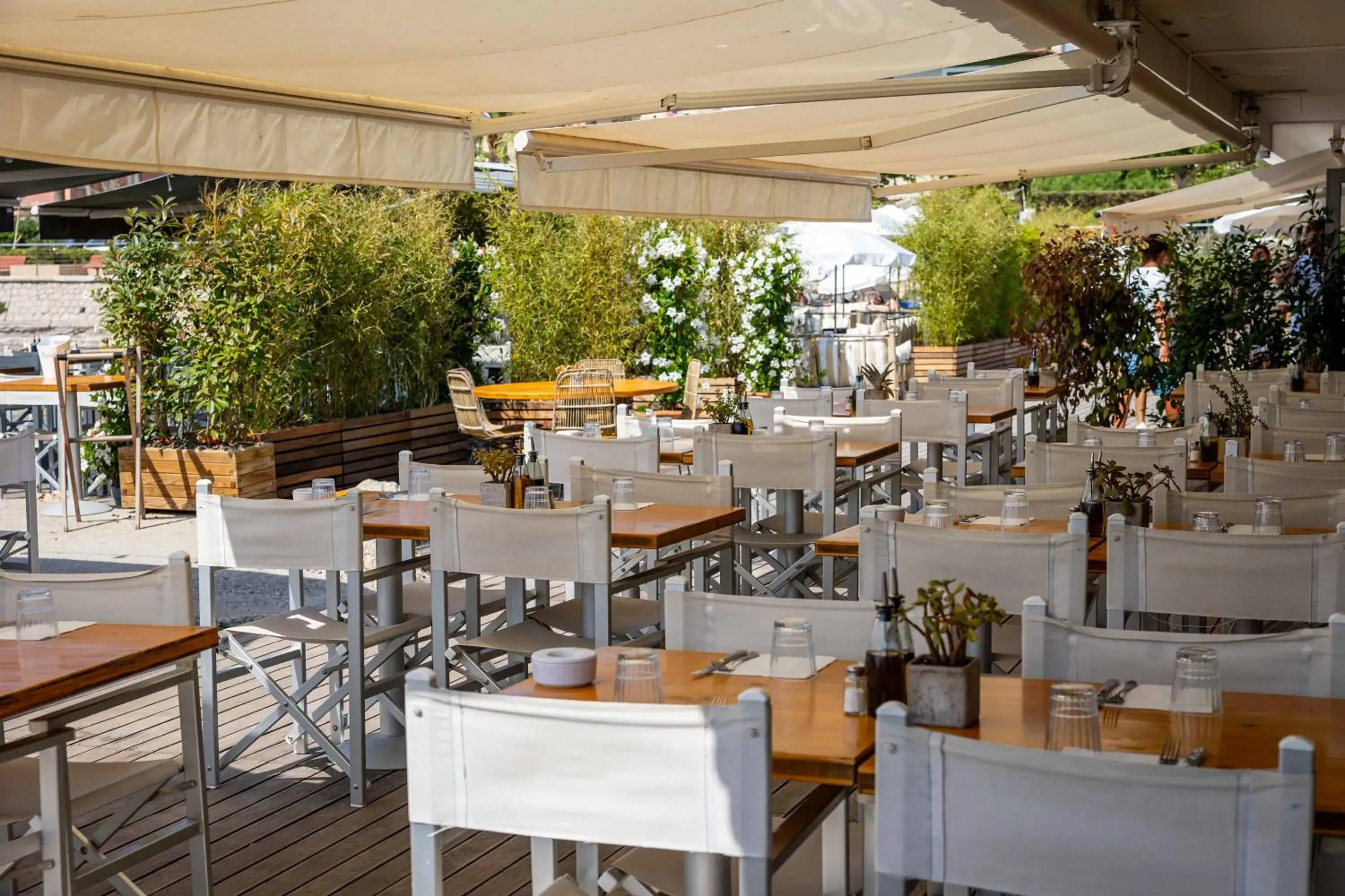 Restaurant/places to eat in Royal Antibes - Luxury Hotel, Résidence, Beach & Spa Restaurant/places to eat in Royal Antibes - Luxury Hotel, Résidence, Beach & Spa