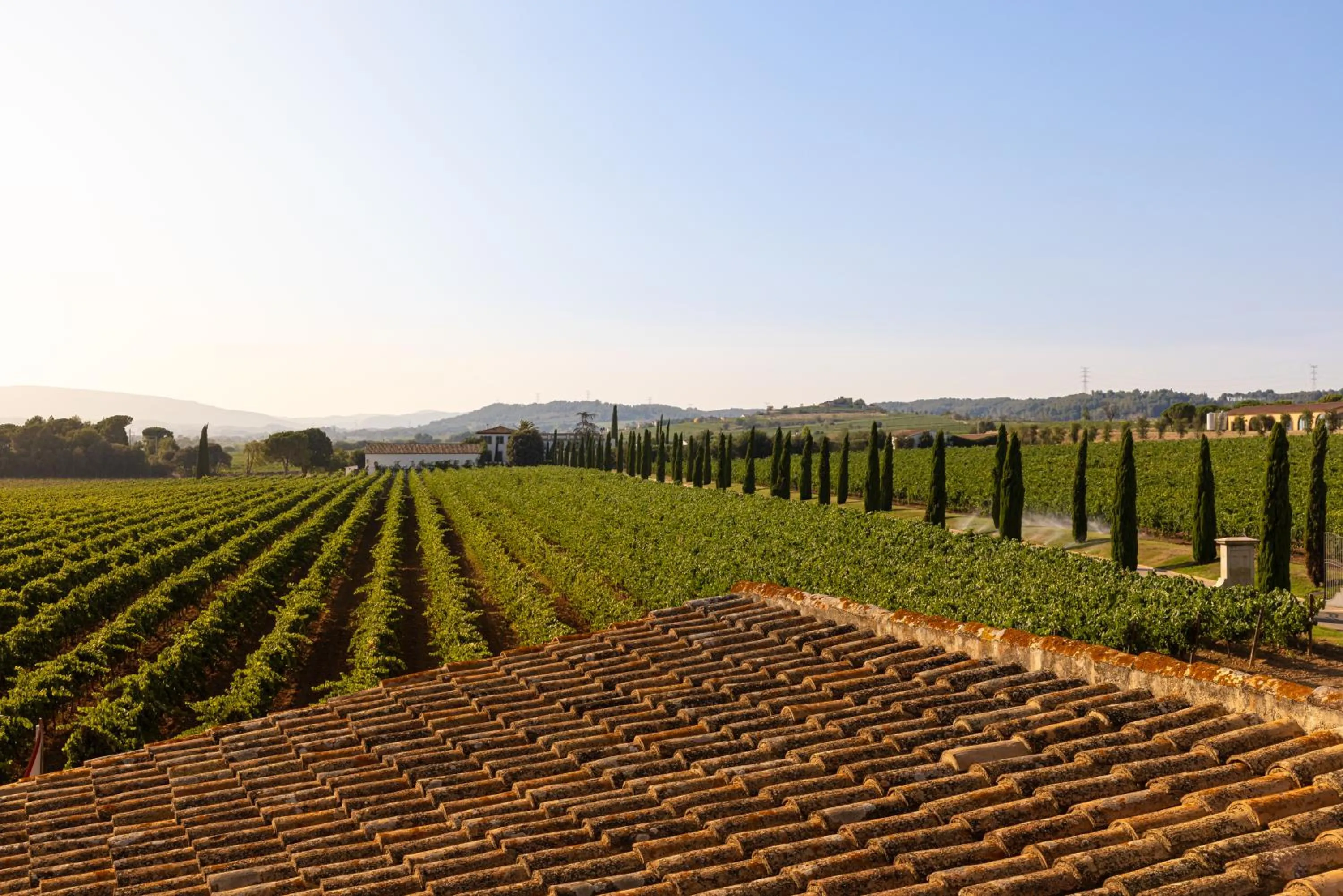 View (from property/room) in Hotel Restaurant Sol i Vi