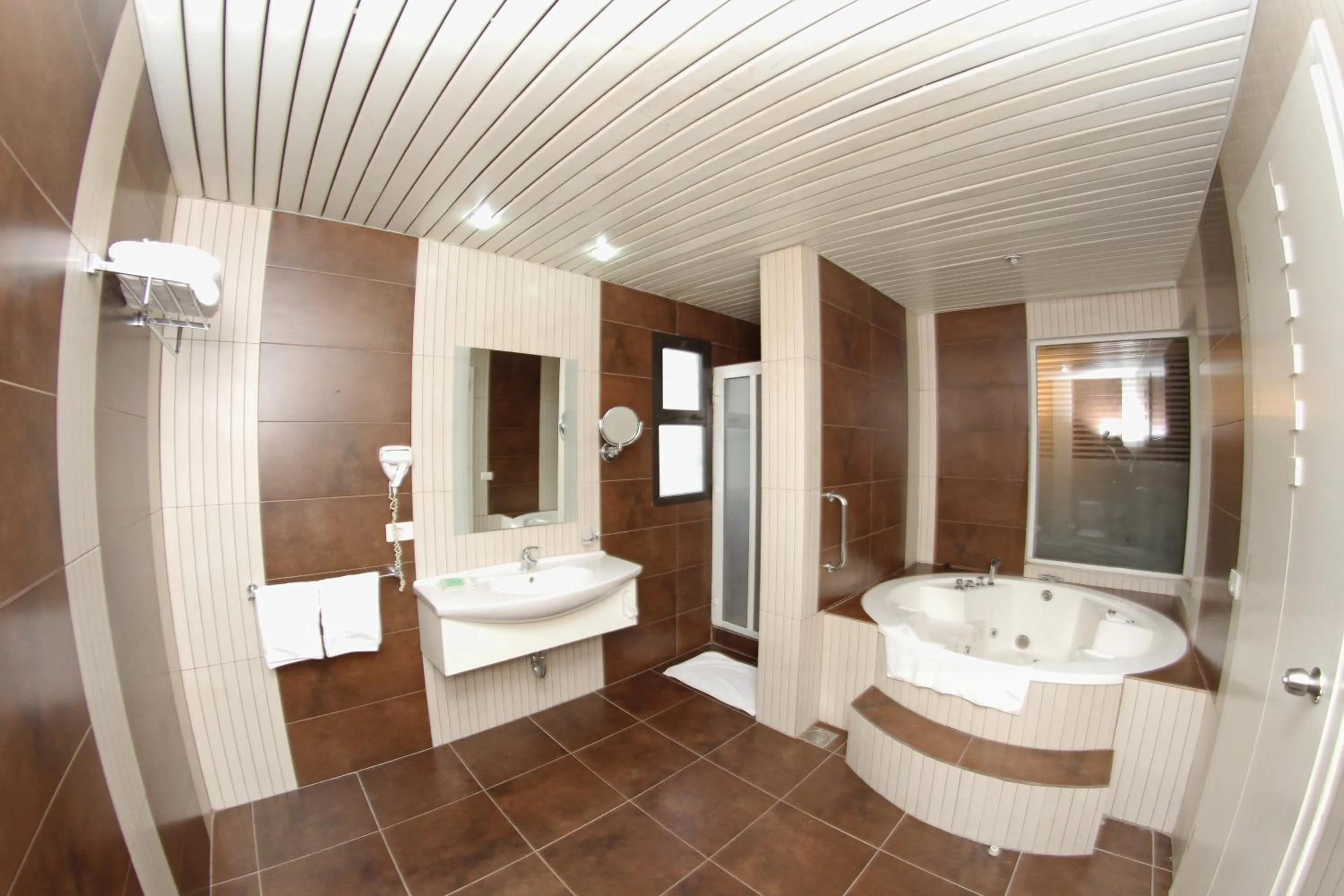 Shower in Madisson Hotel