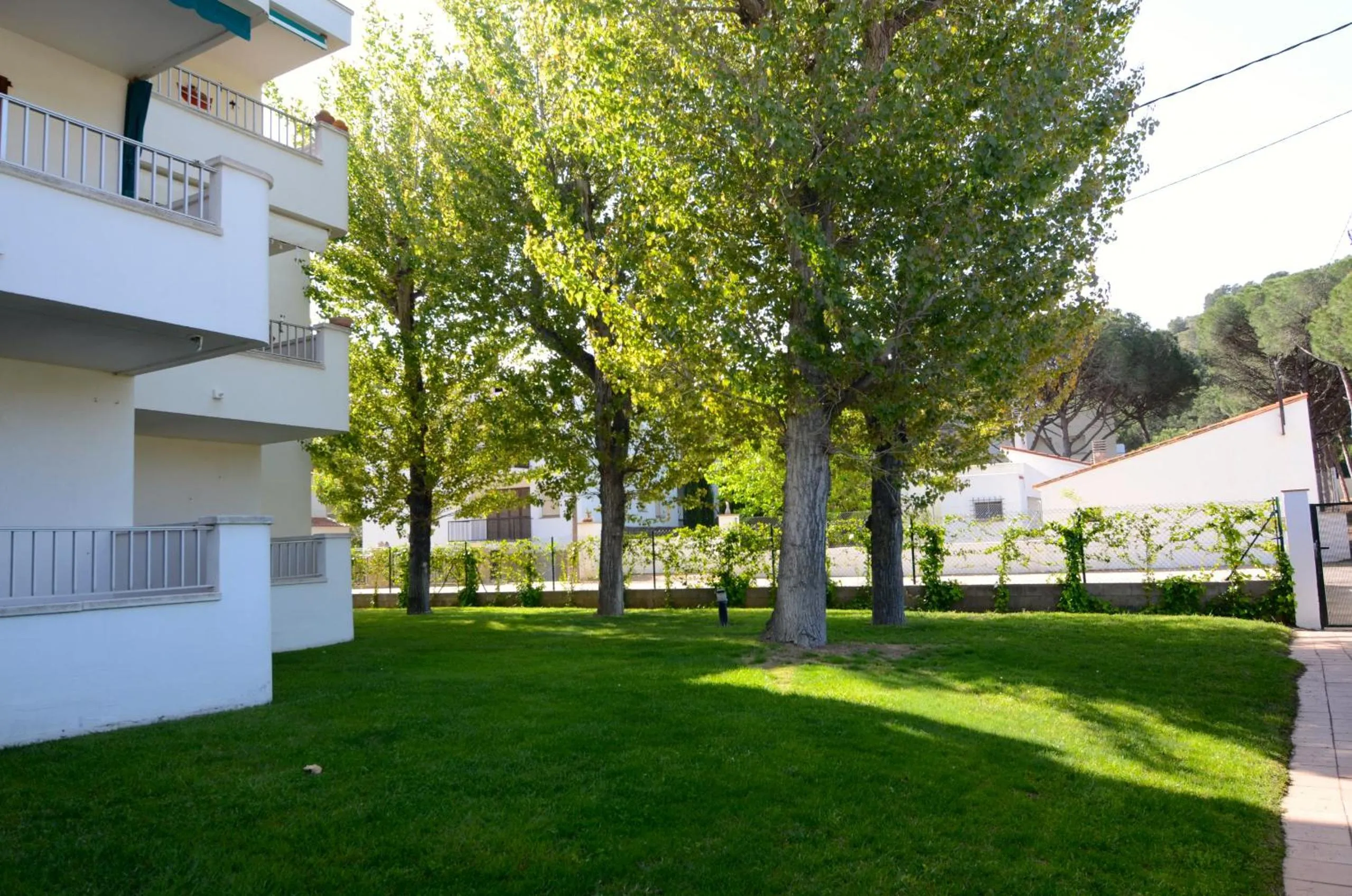 Patio in Cala Montgo 33