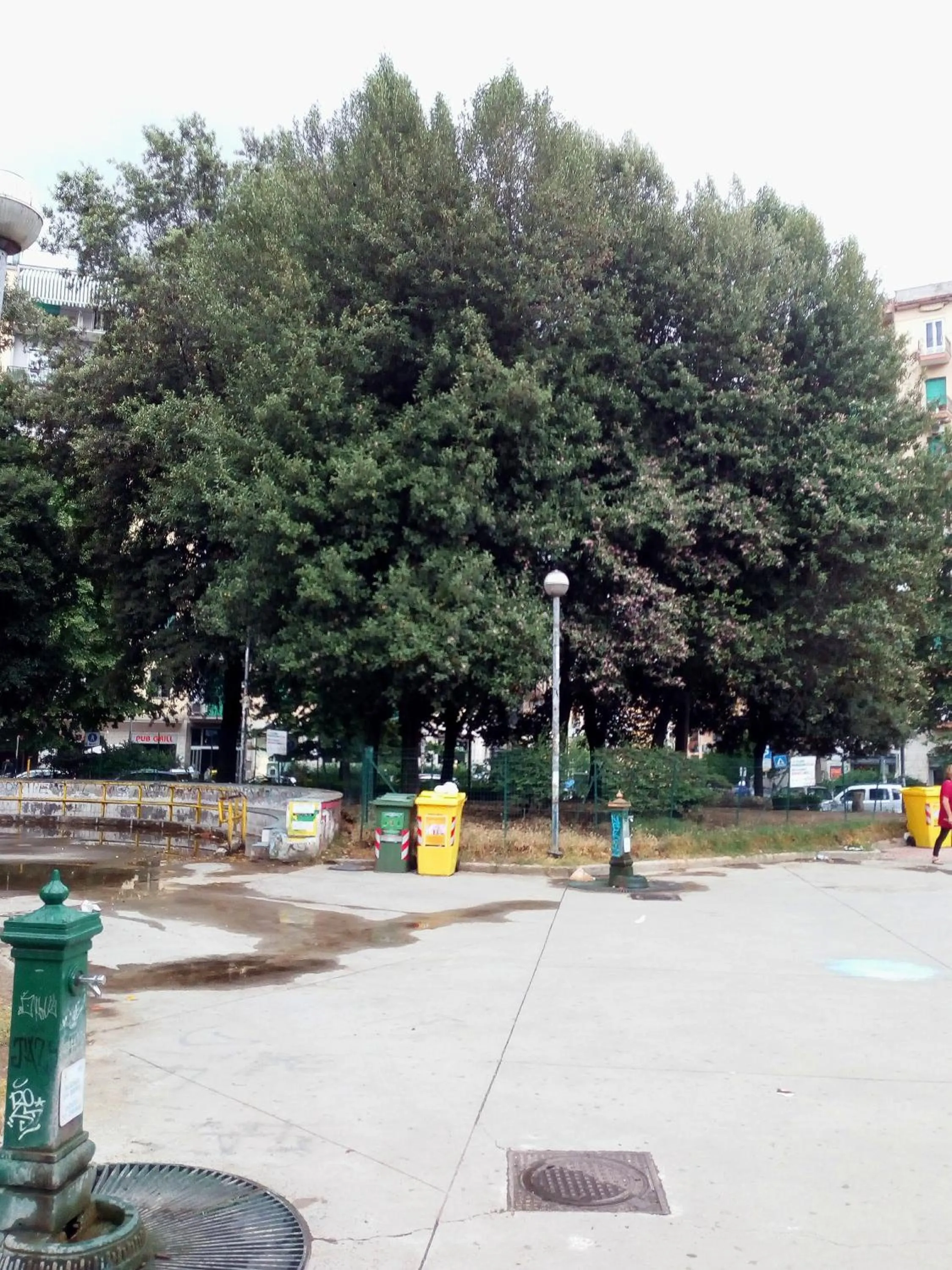 Property building in Cicicocó