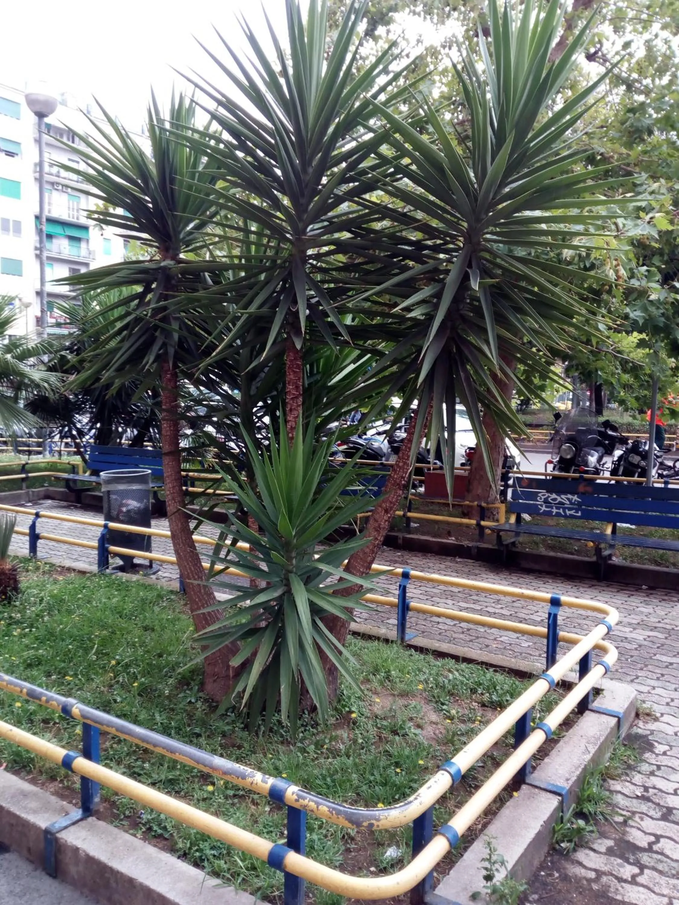 Property building in Cicicocó