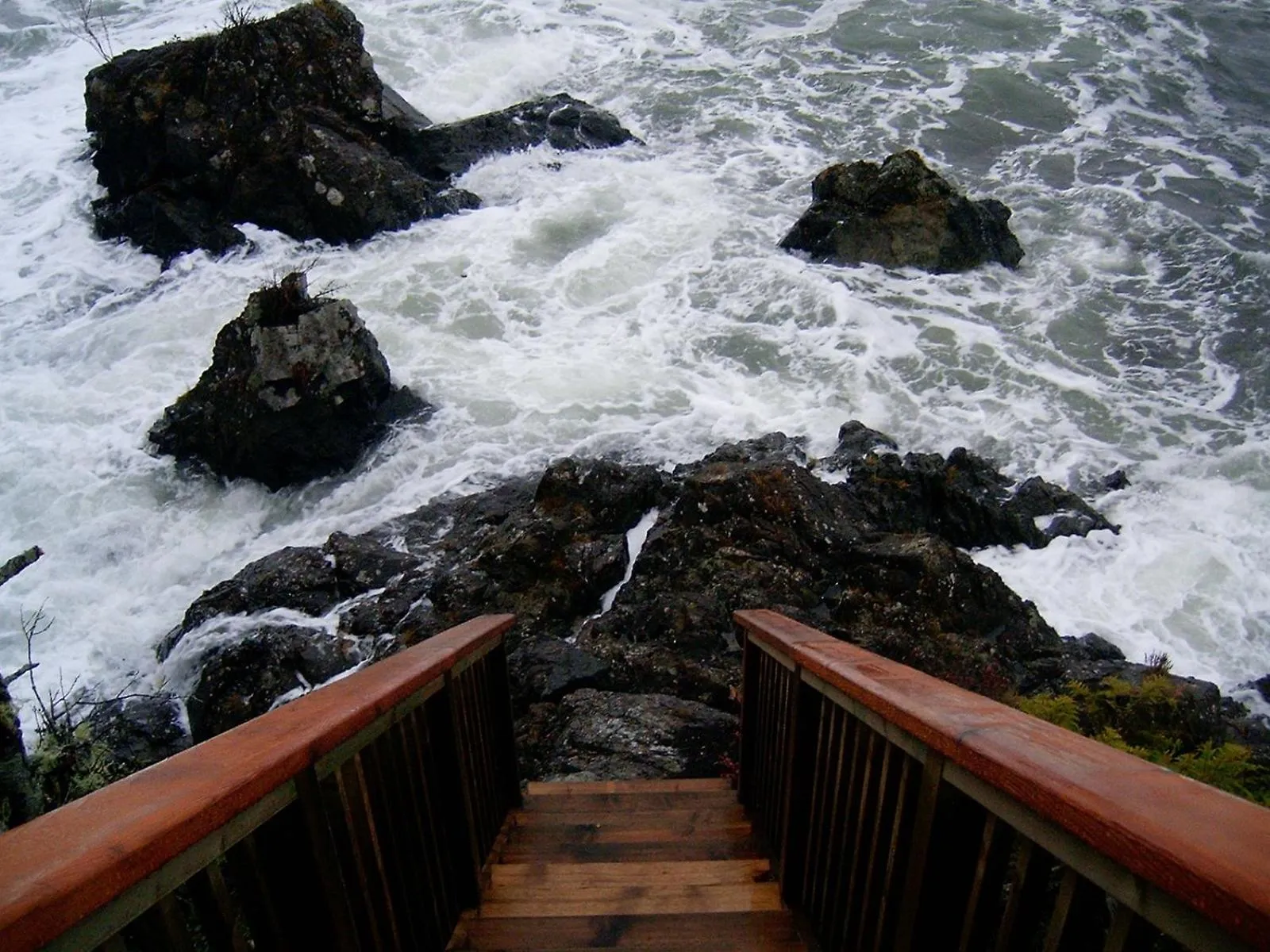 Area and facilities in Reef Point Oceanfront Bed and Breakfast