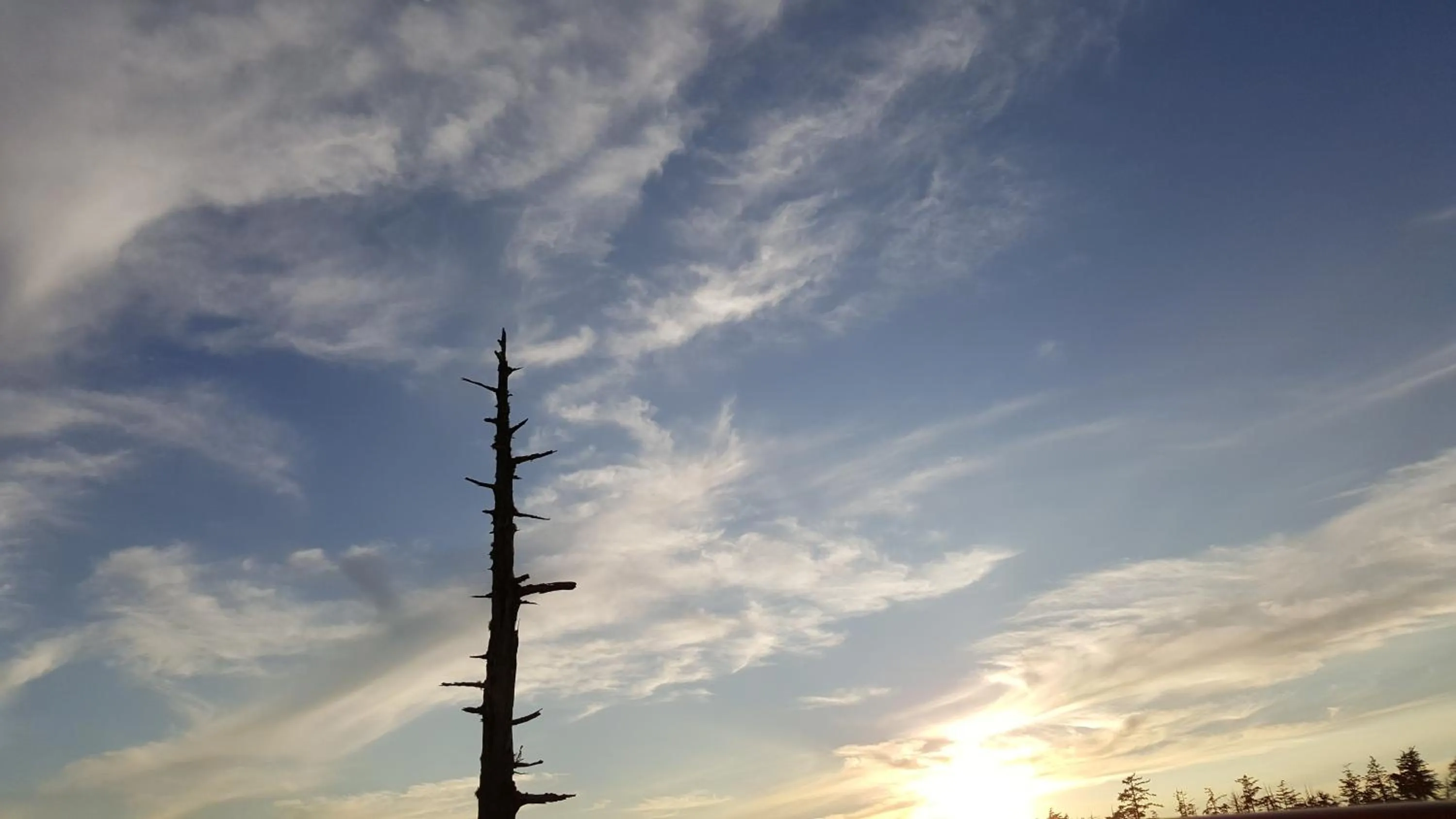 Other in Reef Point Oceanfront Bed and Breakfast