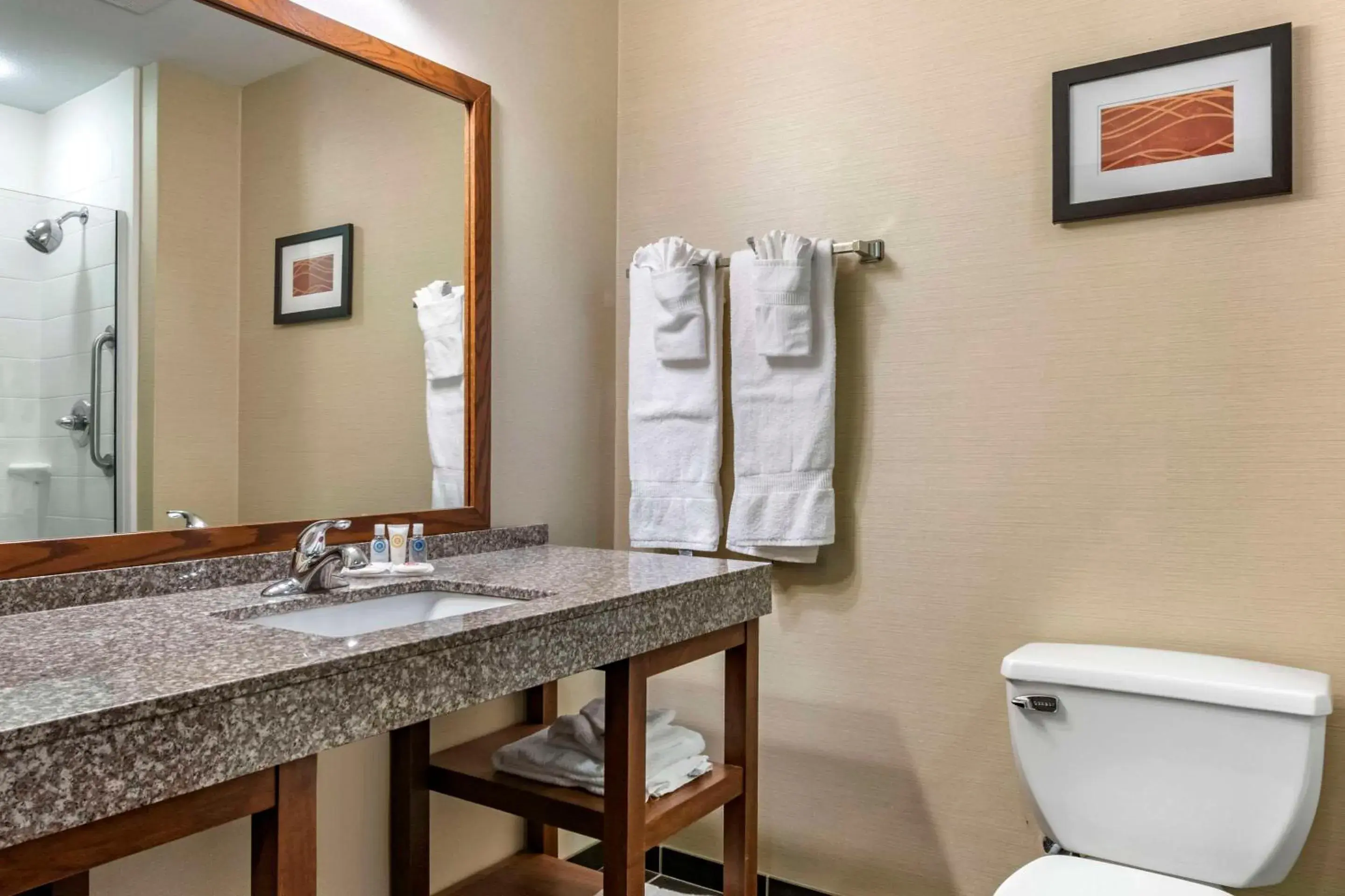 Bedroom in Comfort Inn Williamsport Bedroom in Comfort Inn Williamsport