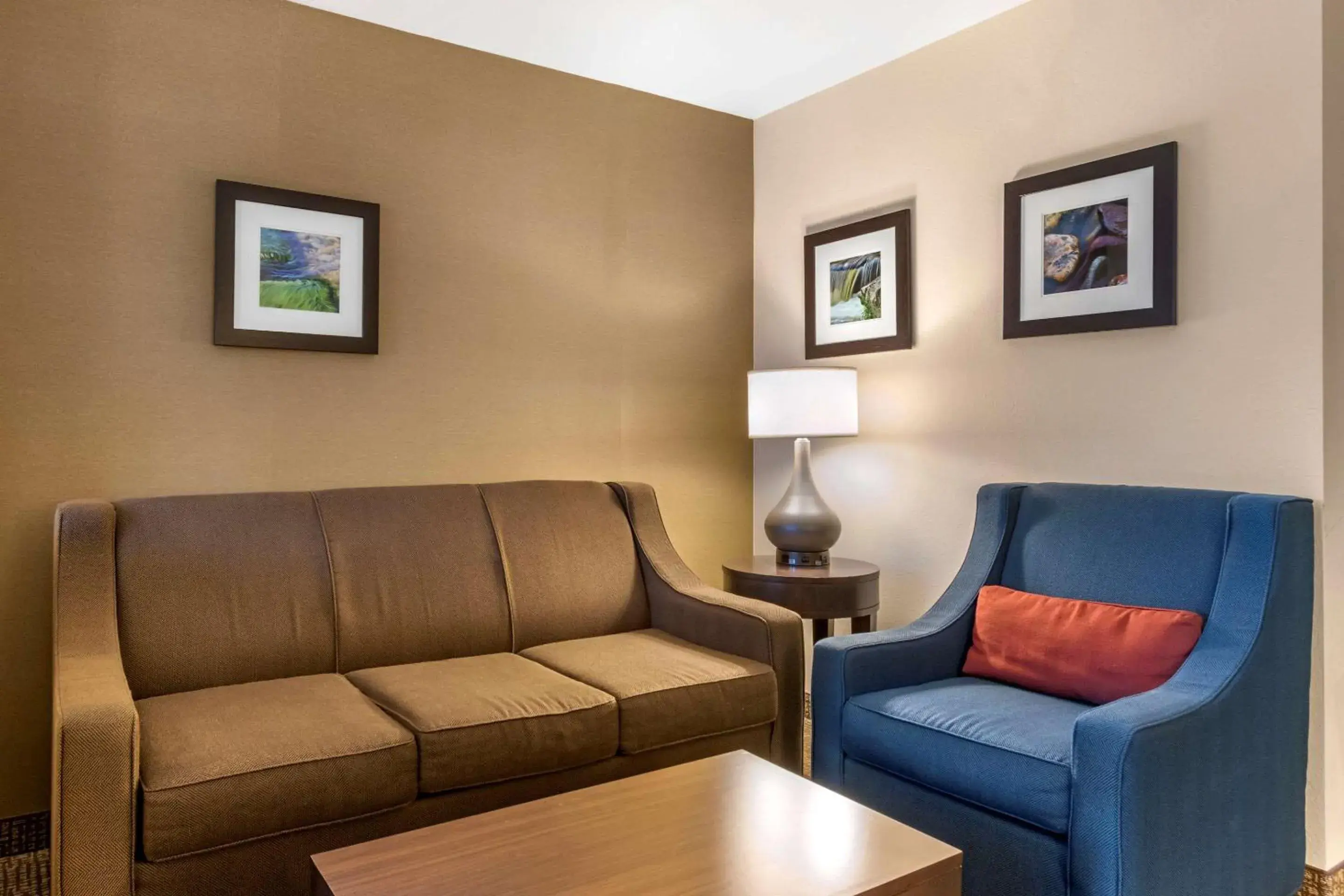 Photo of the whole room in Comfort Inn Williamsport Photo of the whole room in Comfort Inn Williamsport