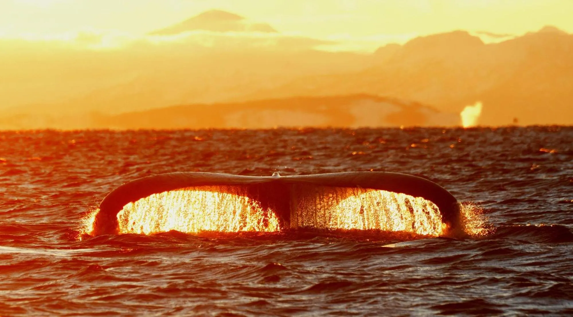 Natural landscape in Senja Fjordhotell and Apartments