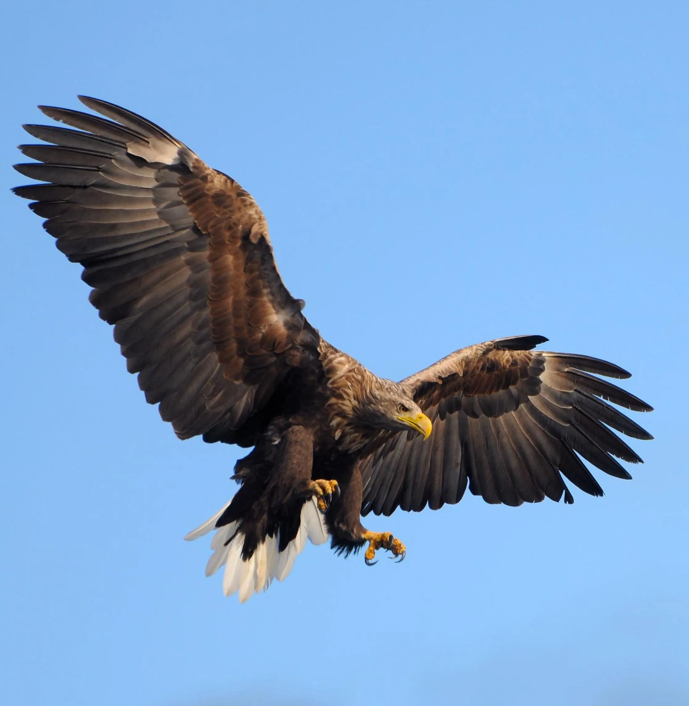 Day in Senja Fjordhotell and Apartments