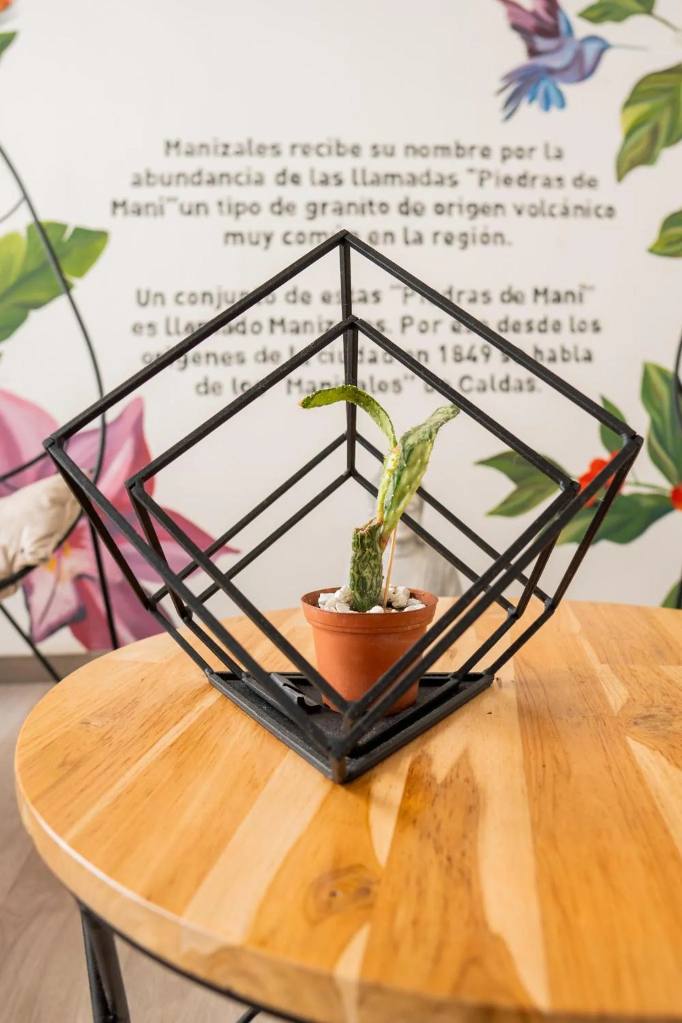 Hotel Piedras De Maní