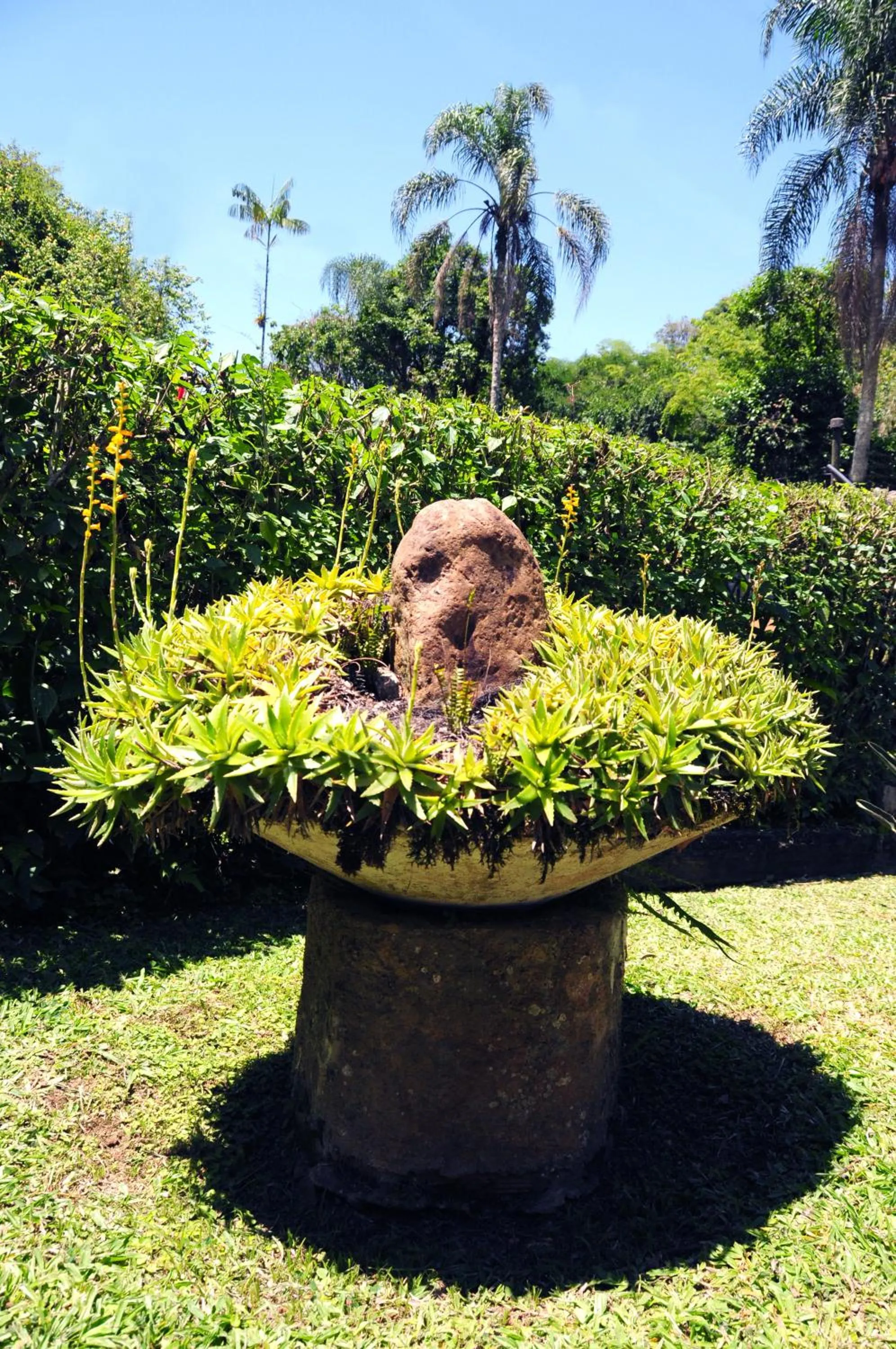 Garden in Hotel Daniela