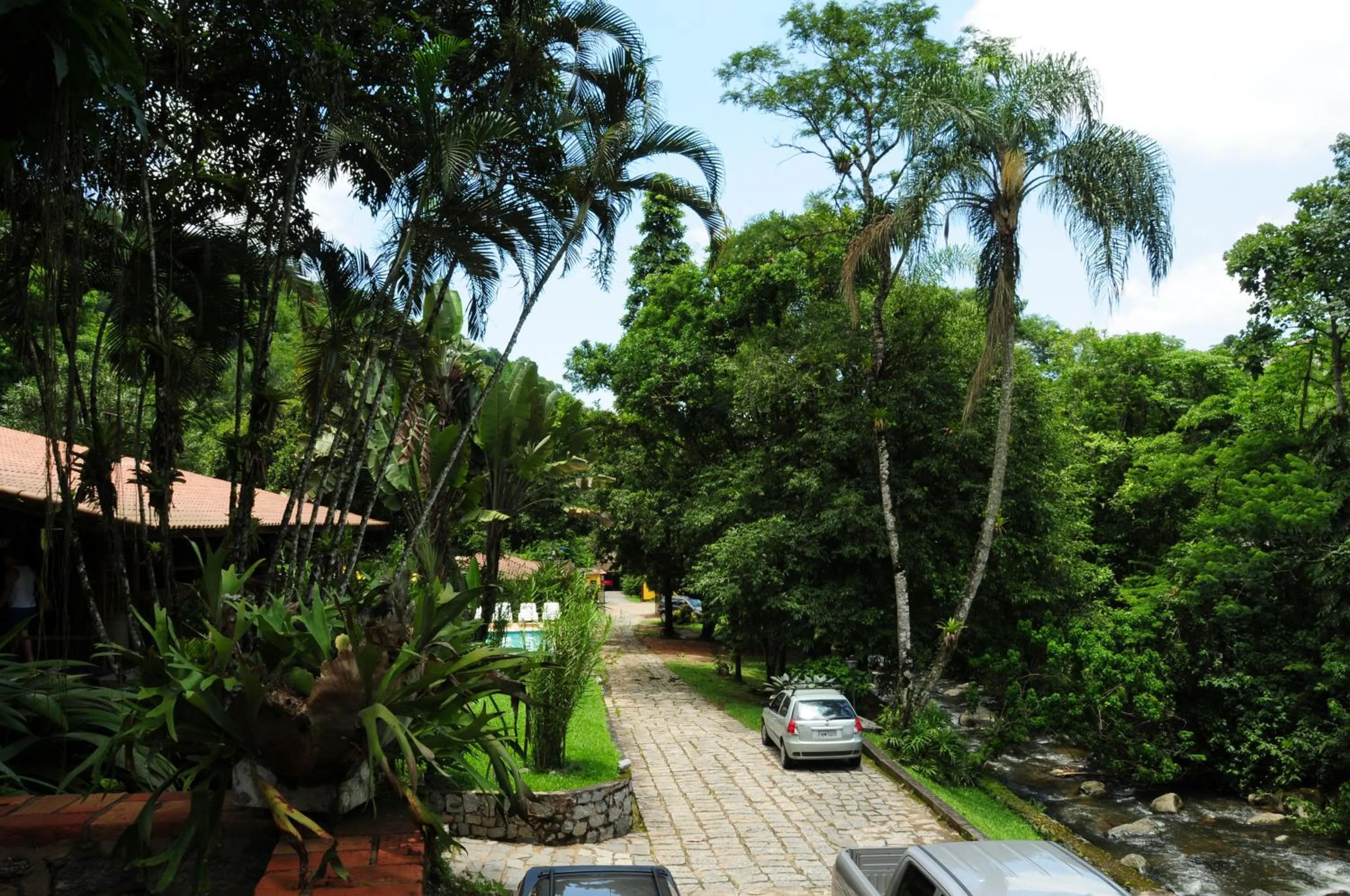 Garden view in Hotel Daniela