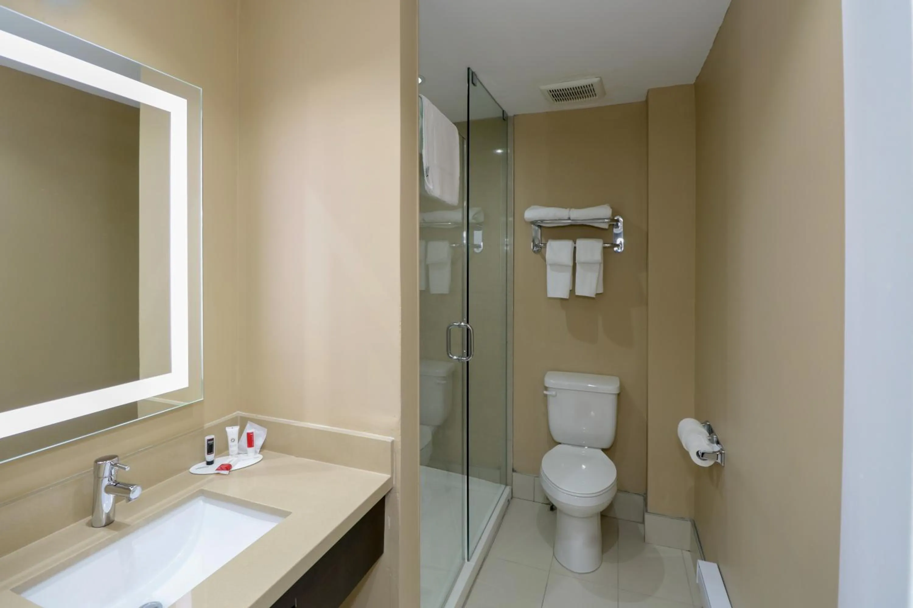 Toilet in Ramada by Wyndham Jackson's Point