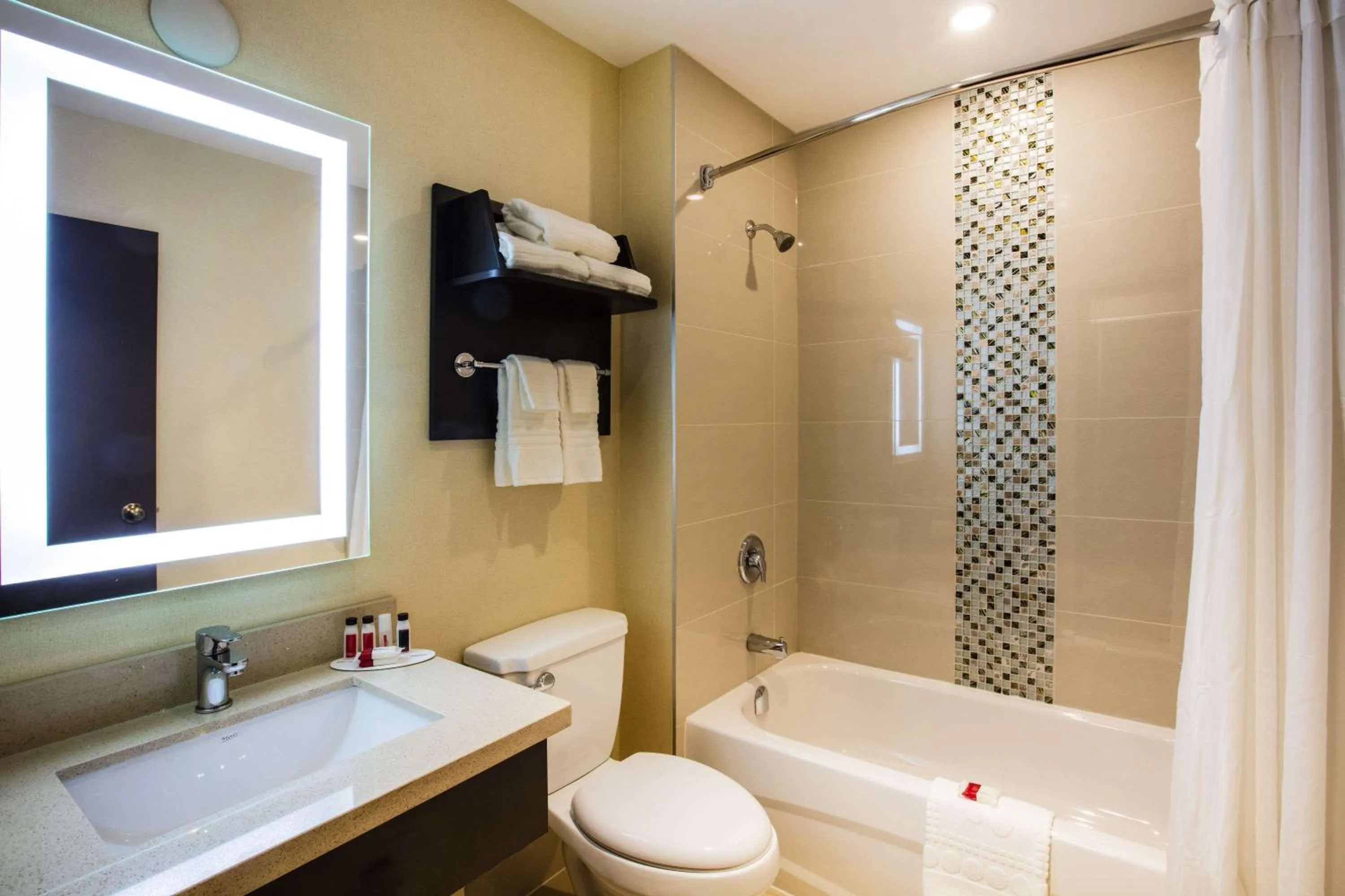 Bathroom in Ramada by Wyndham Jackson's Point