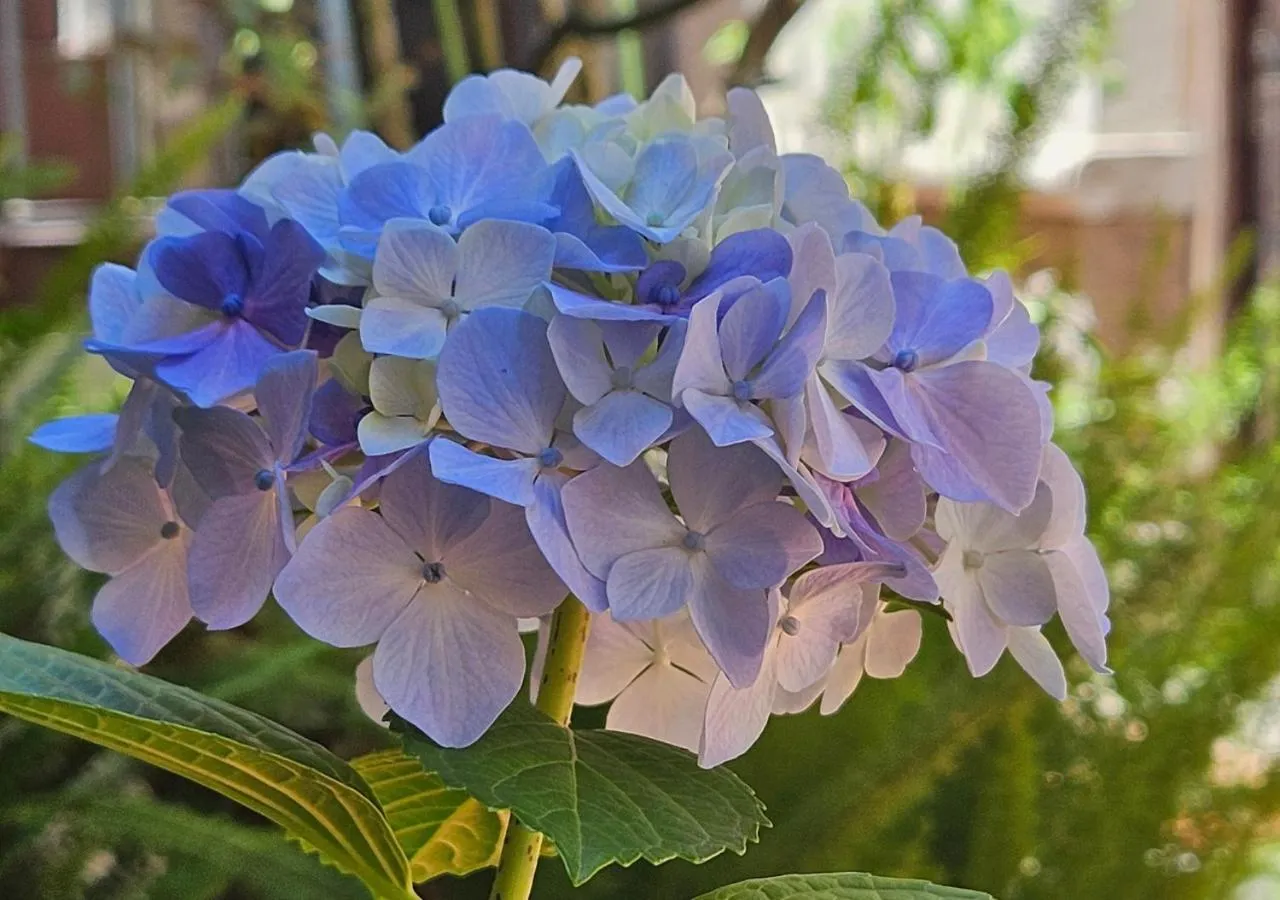 Property building in Posada Gotan