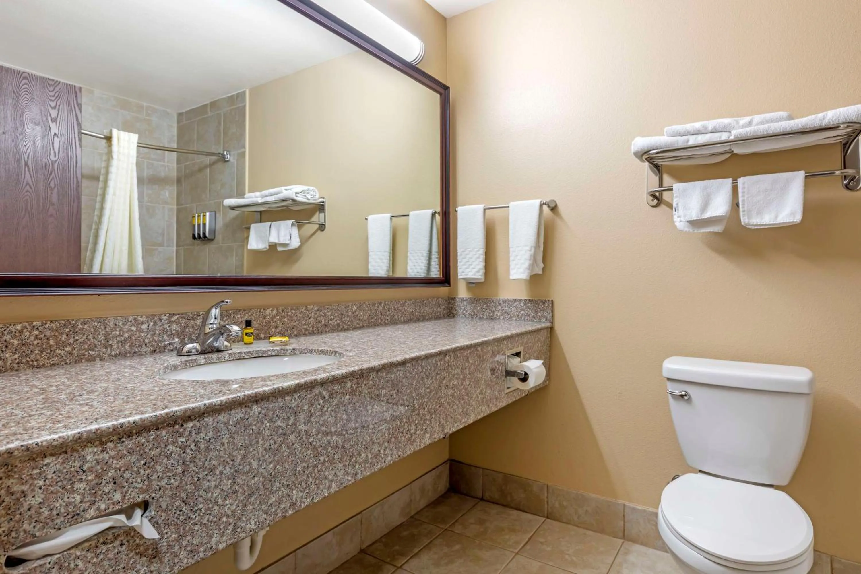 Bathroom in Best Western Plus Burleson Inn & Suites