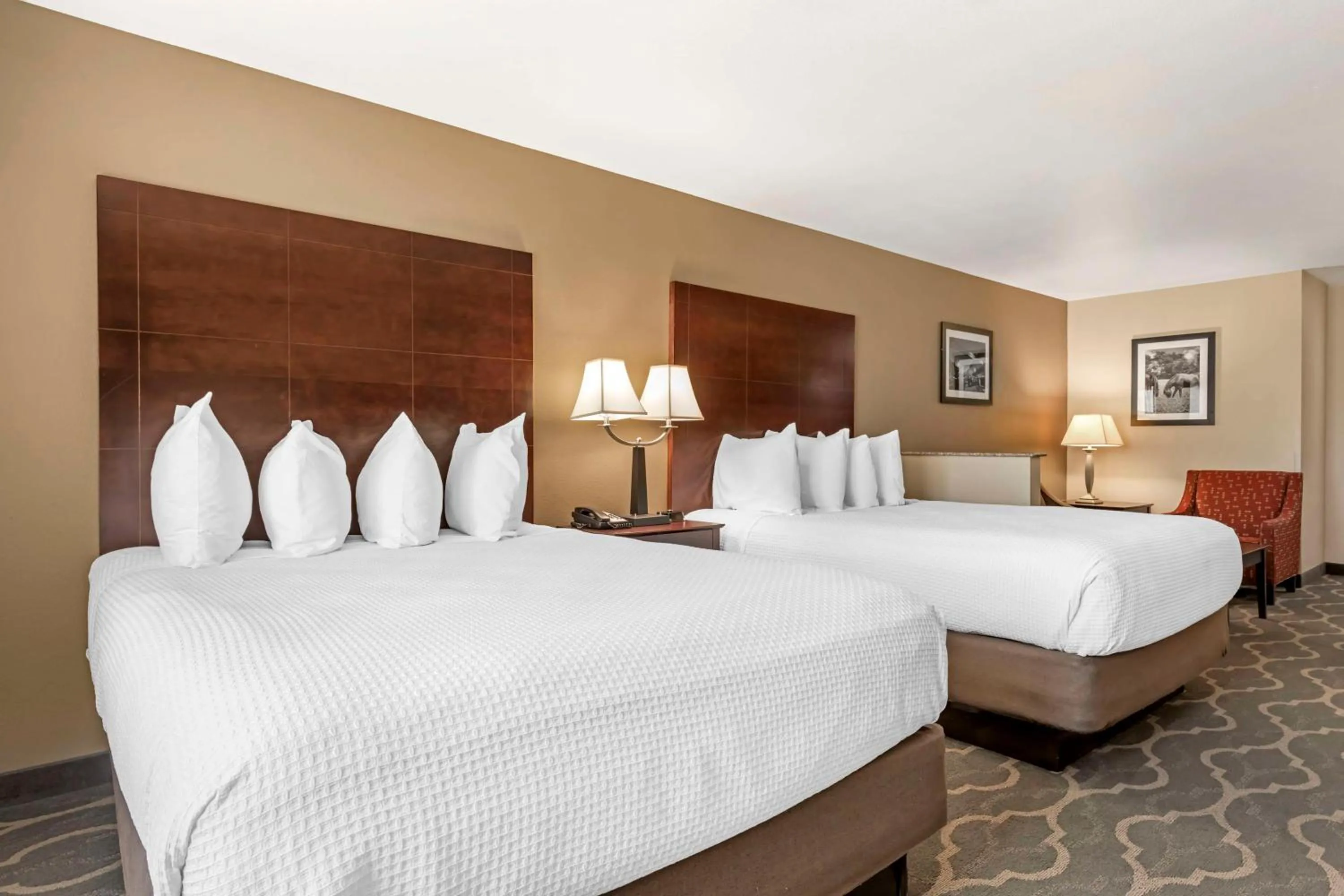 Photo of the whole room, Bed in Best Western Plus Burleson Inn & Suites