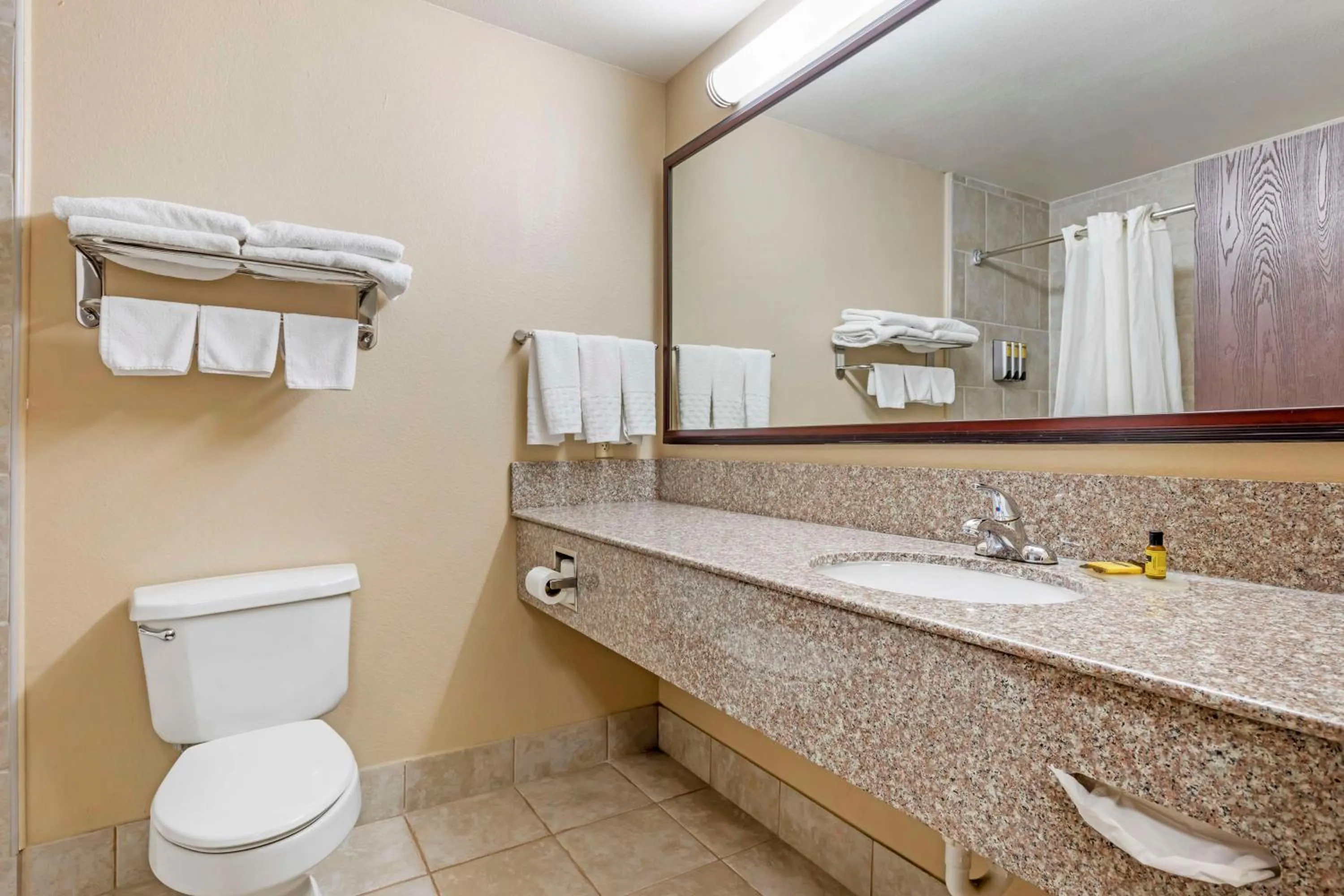 Bathroom in Best Western Plus Burleson Inn & Suites