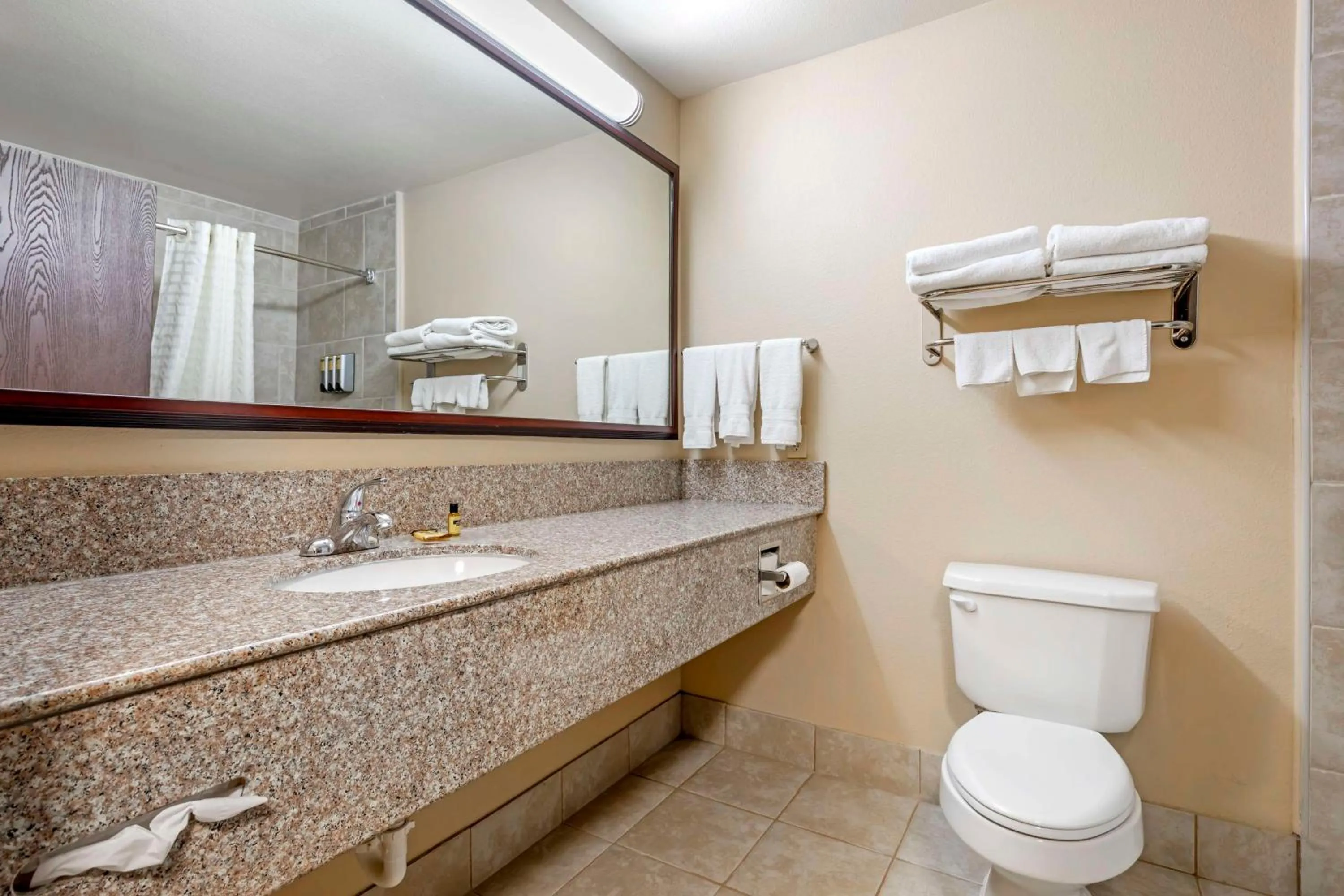 Bathroom in Best Western Plus Burleson Inn & Suites