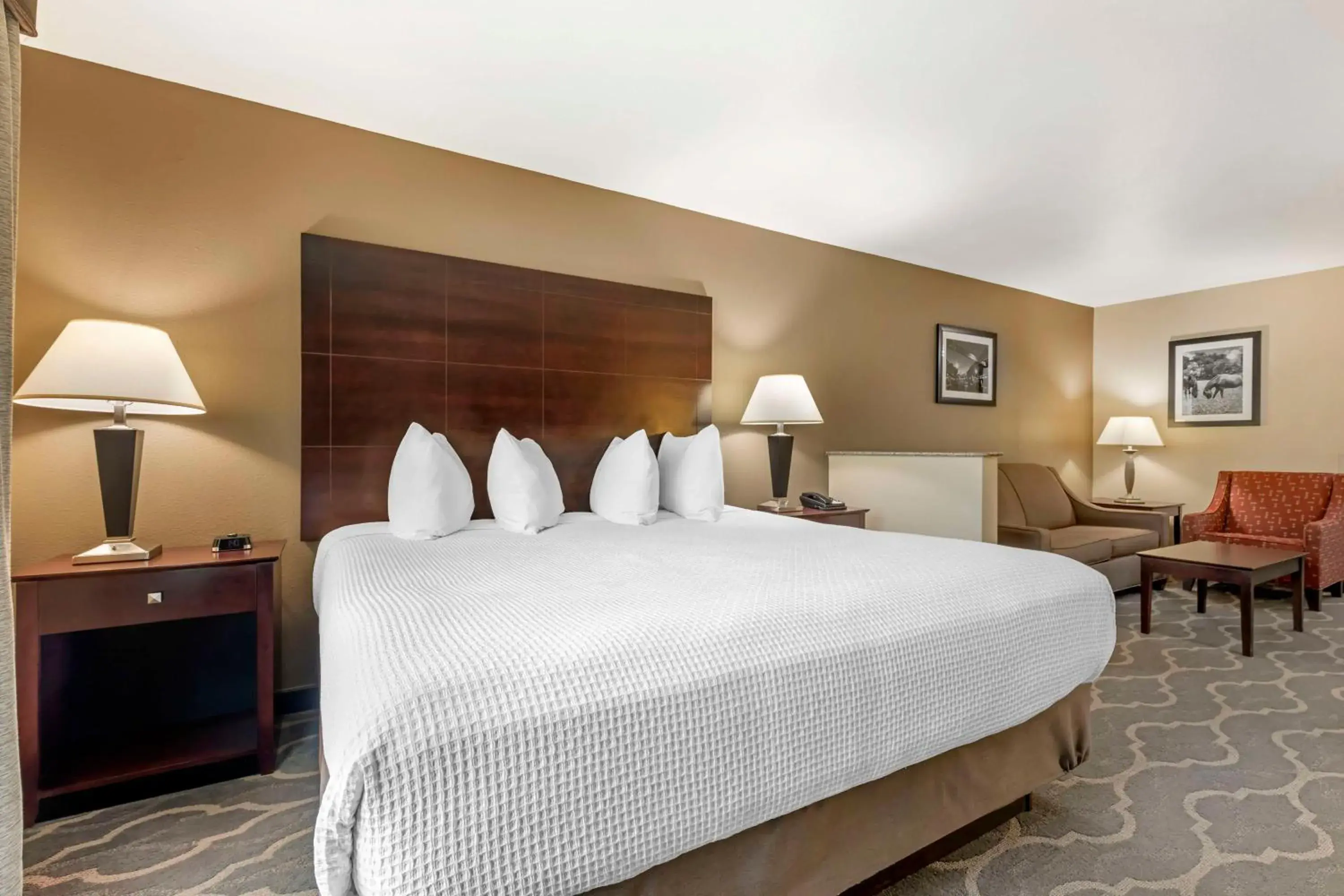 Photo of the whole room, Bed in Best Western Plus Burleson Inn & Suites Photo of the whole room, Bed in Best Western Plus Burleson Inn & Suites