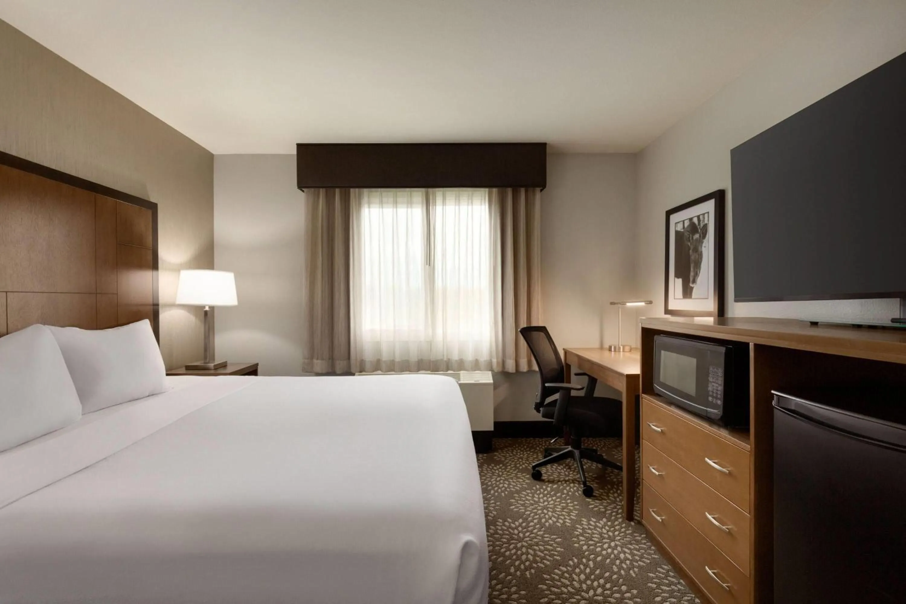 Photo of the whole room, Bed in La Quinta by Wyndham Fairbanks Airport