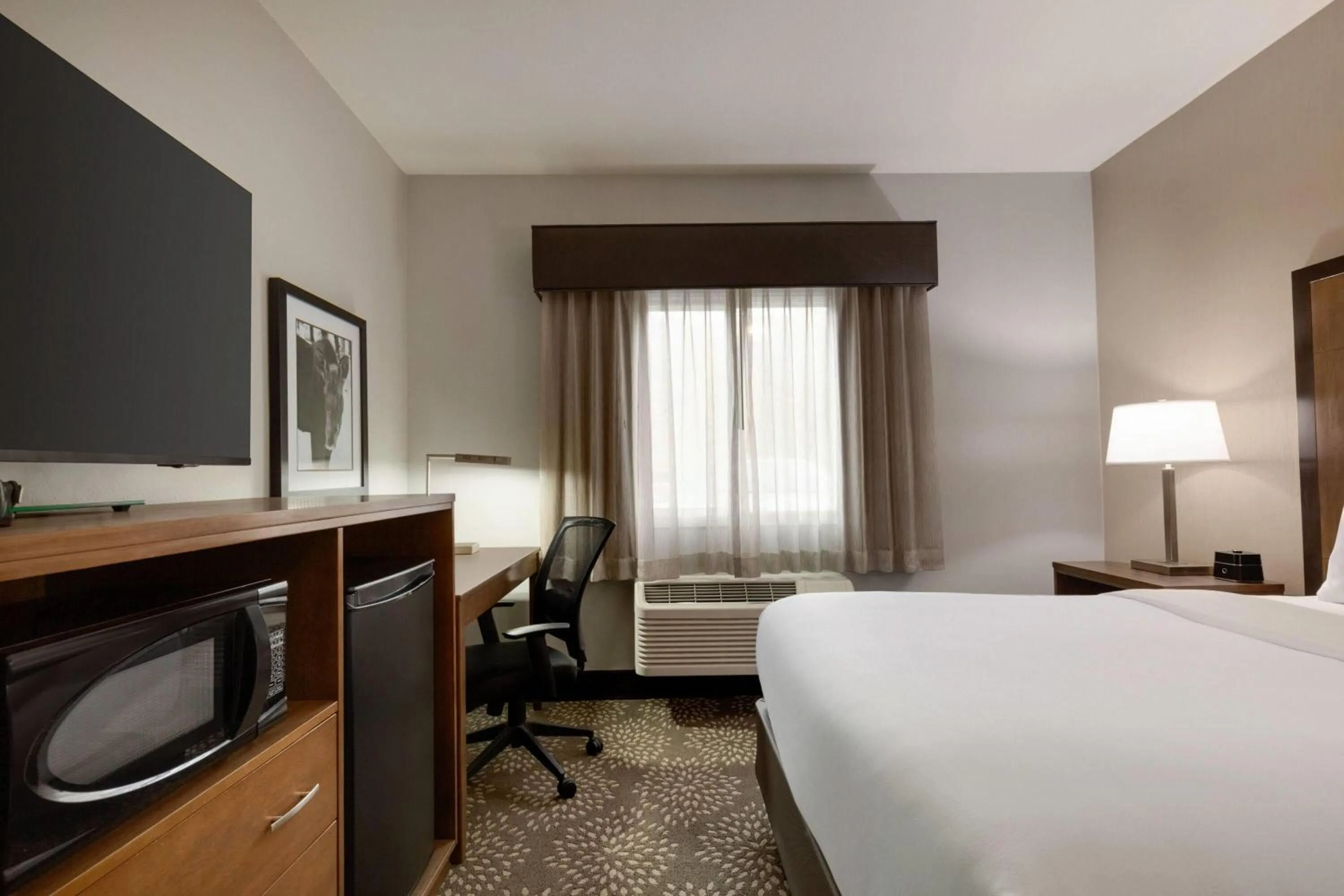 Photo of the whole room, Bed in La Quinta by Wyndham Fairbanks Airport