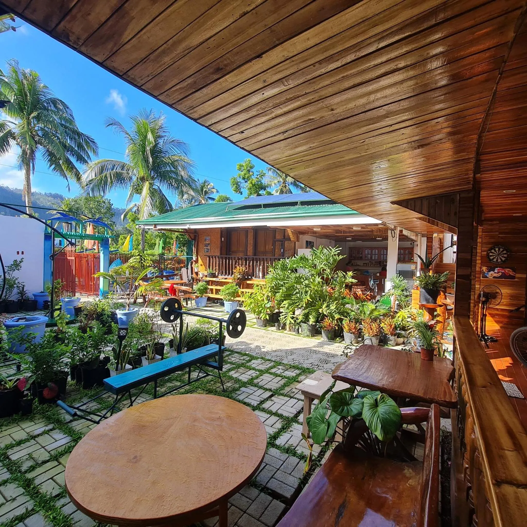 Garden in Aquarius - Port Barton