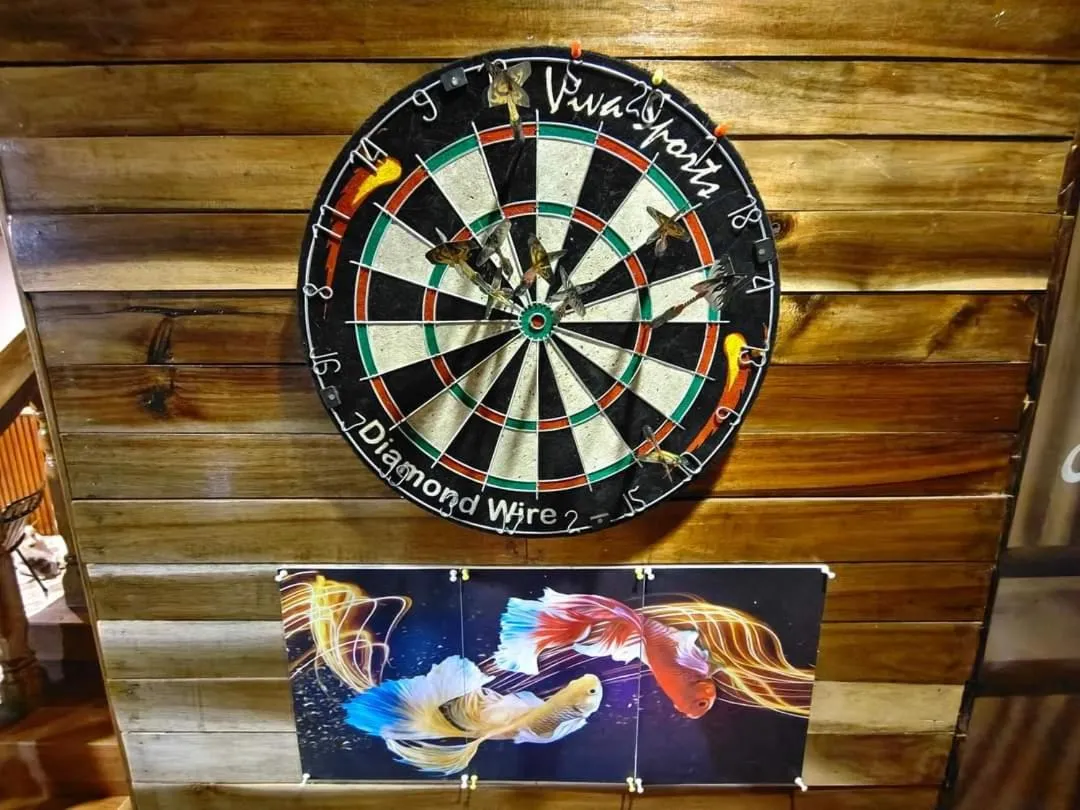 Darts in Aquarius - Port Barton