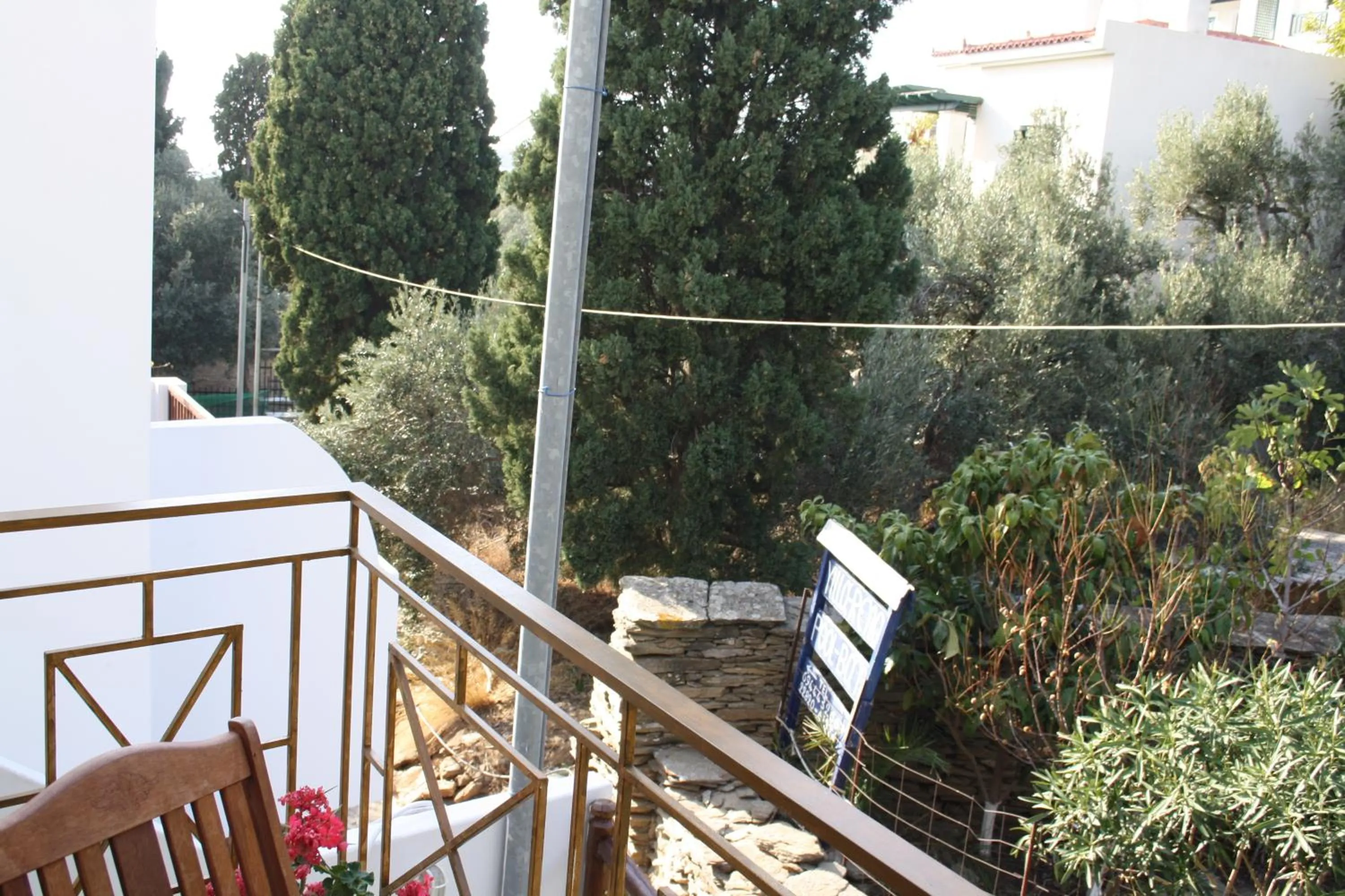 Garden view in Amorani Studios