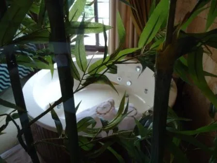 Decorative detail in Siena Hotel