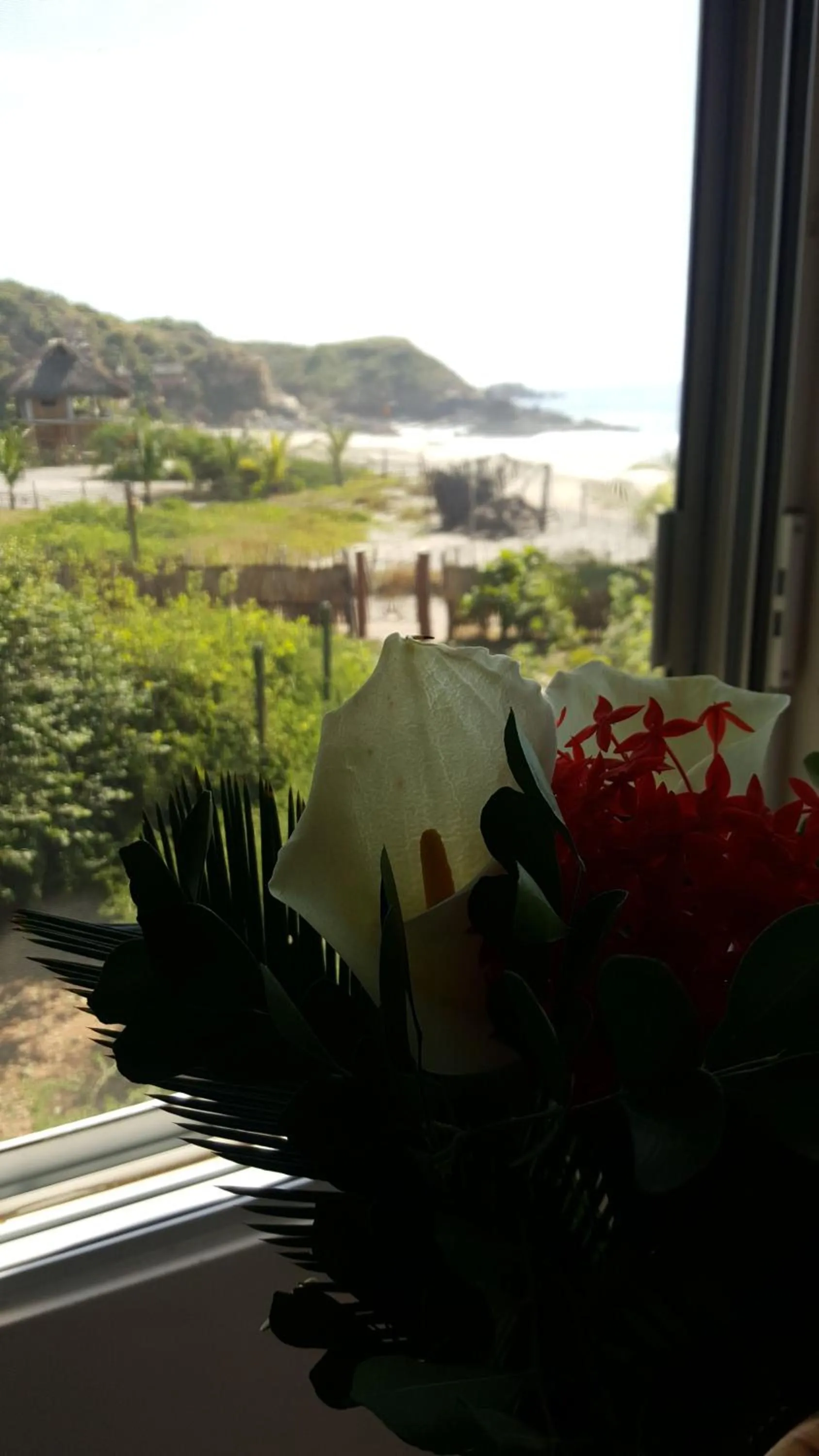 Sea view in Casa Ofelia