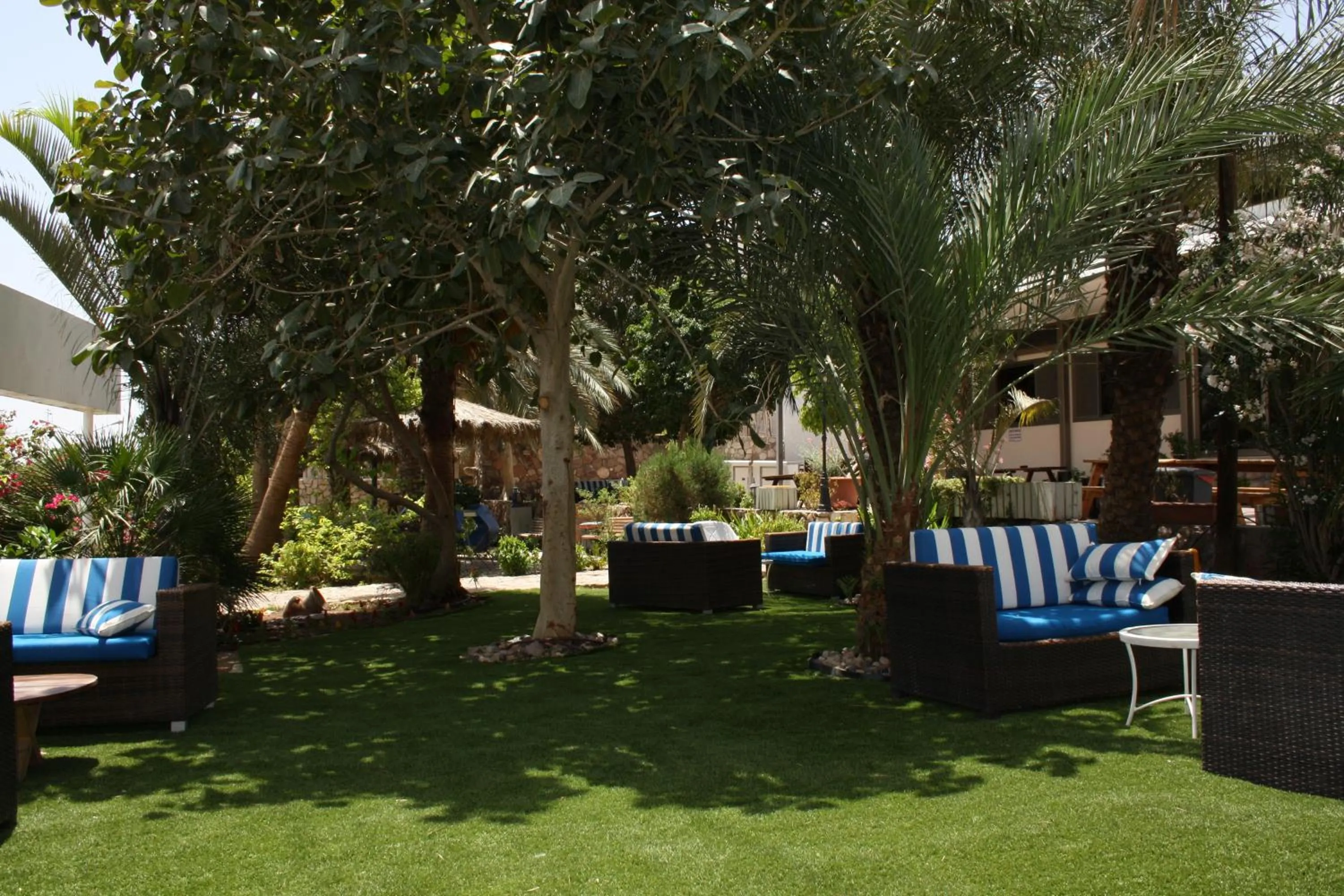Garden in Arava Hostel