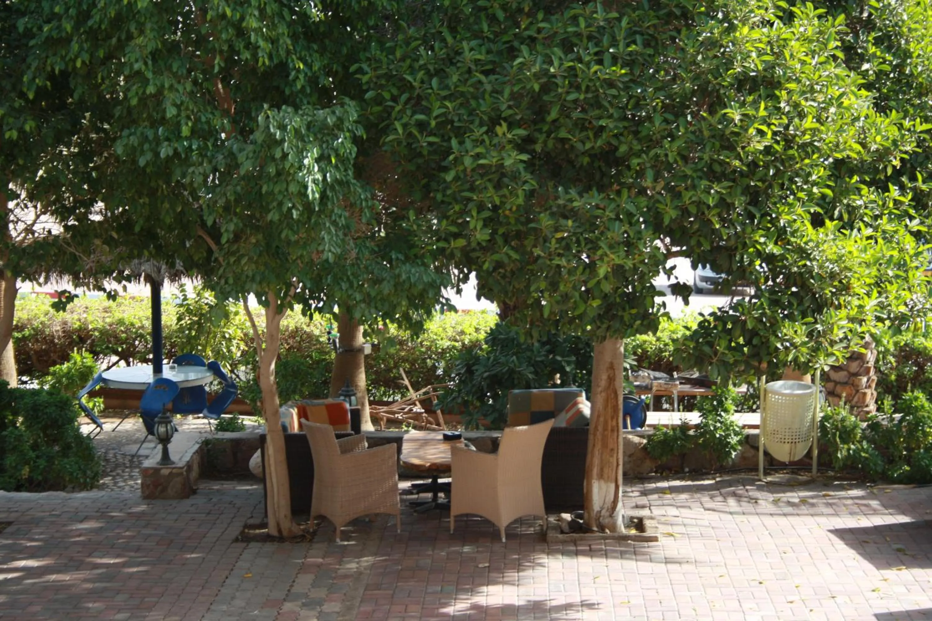 Garden in Arava Hostel