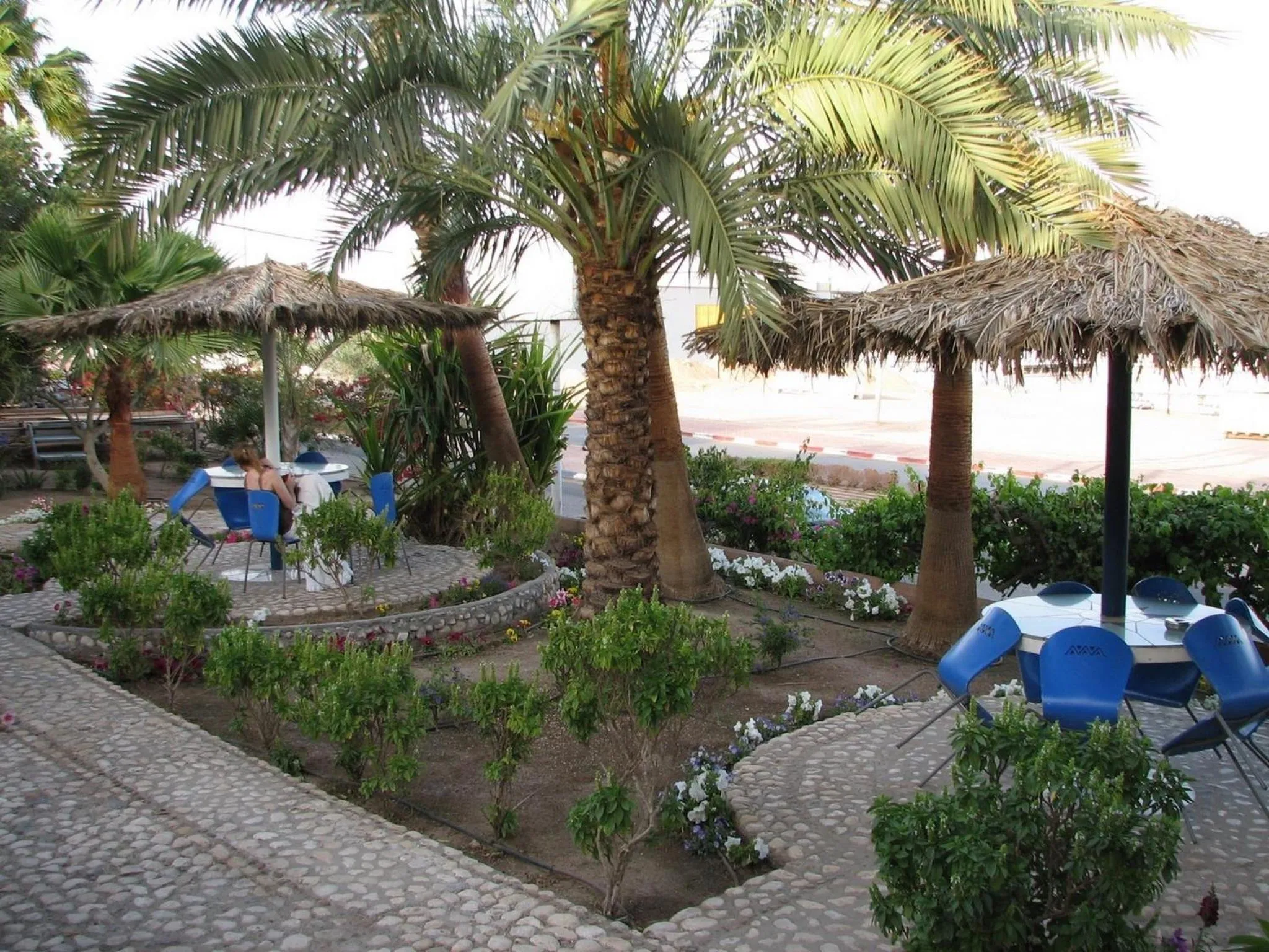 Garden in Arava Hostel