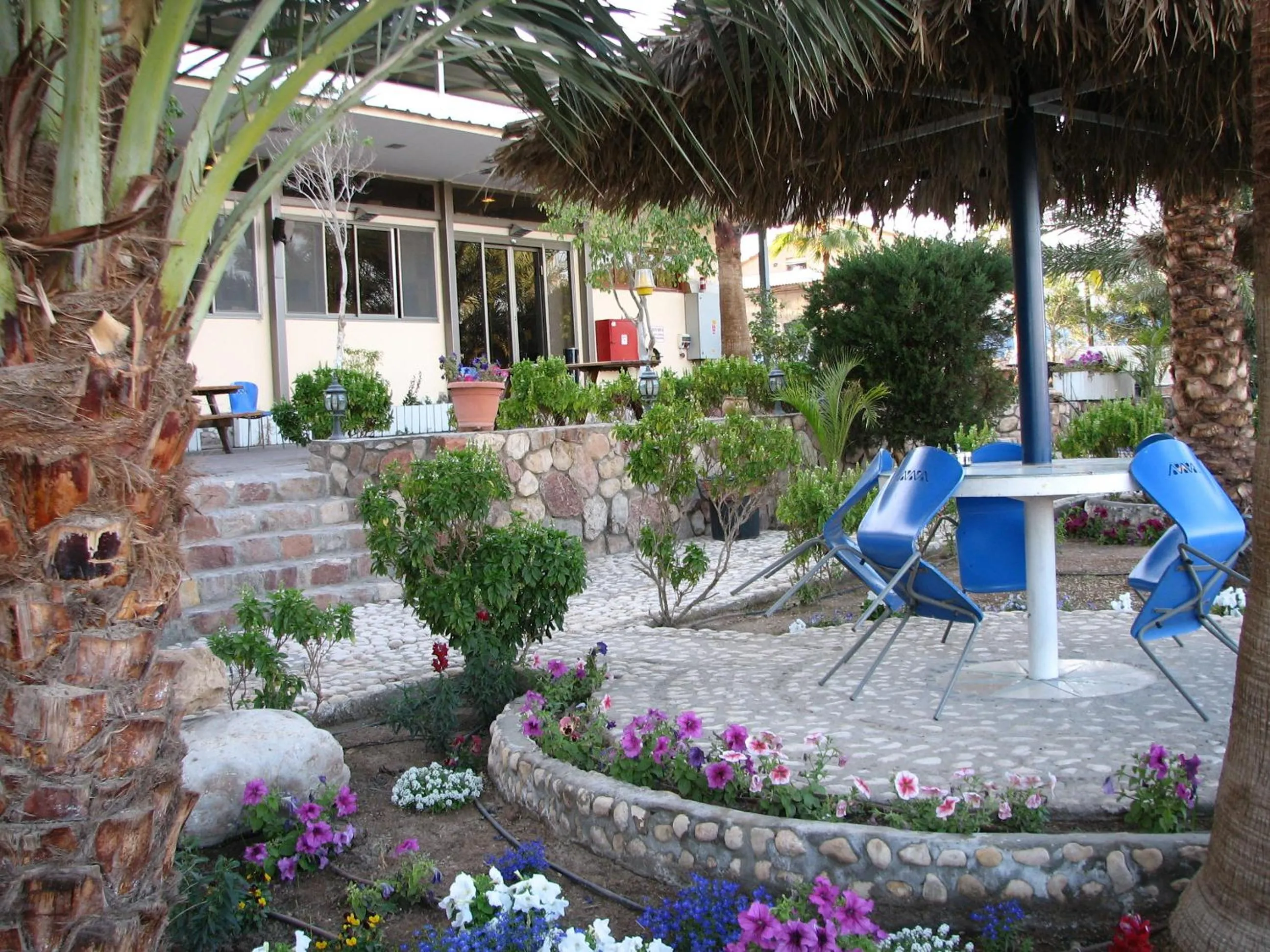 Garden in Arava Hostel