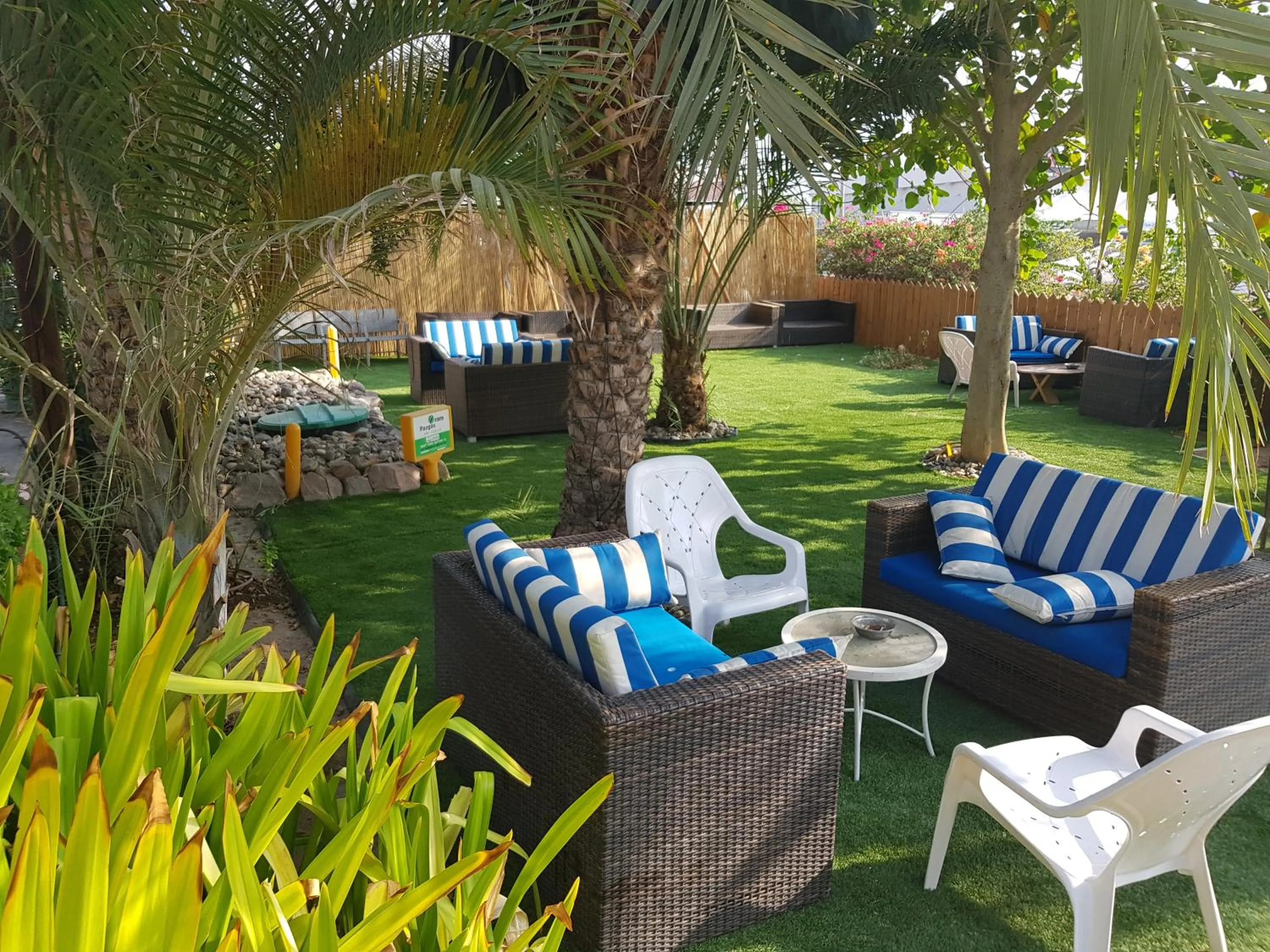 Garden in Arava Hostel