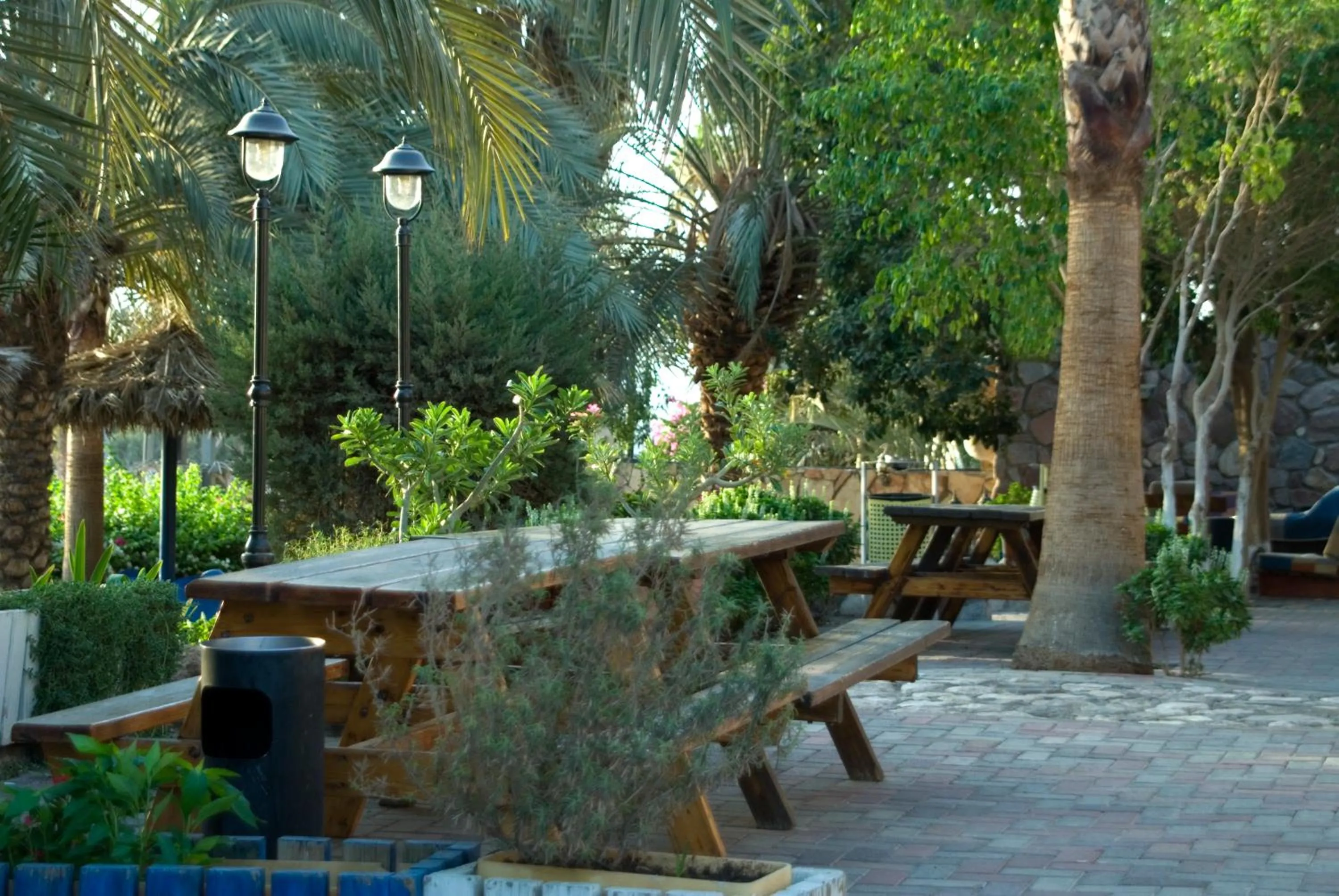 Garden view in Arava Hostel