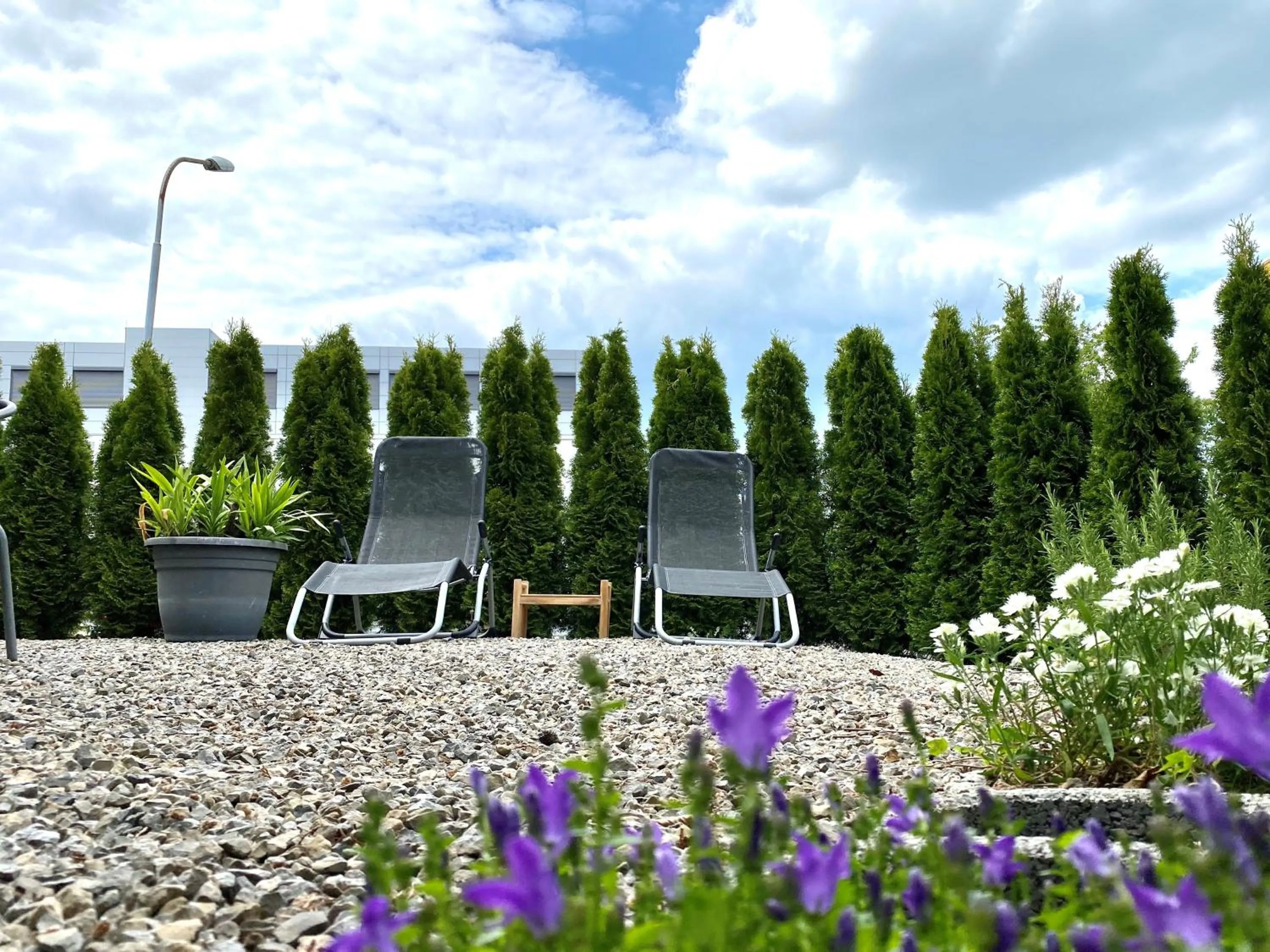 Balcony/Terrace in Hotel zur Sonne