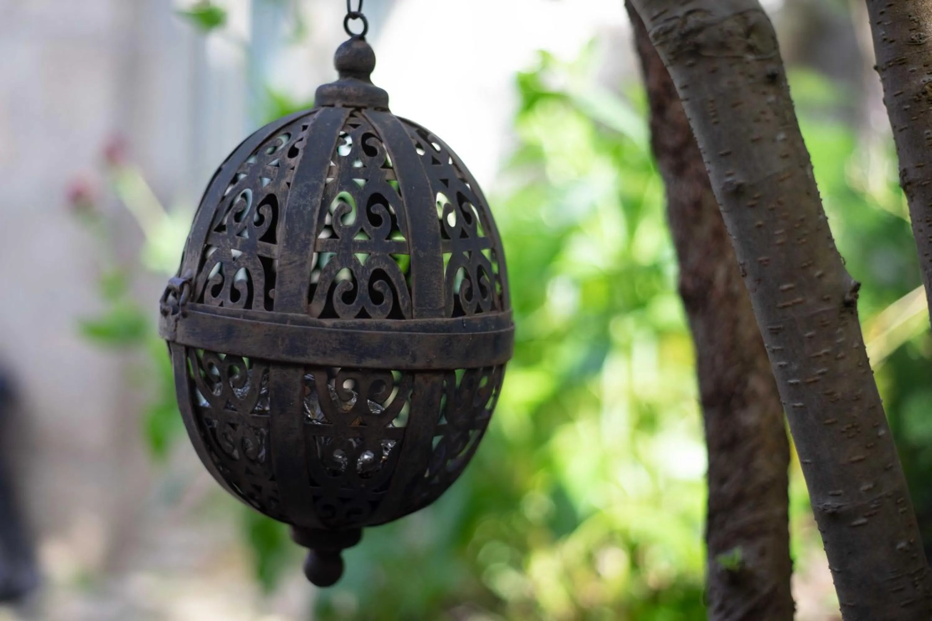 Garden in Auberge Bretonne