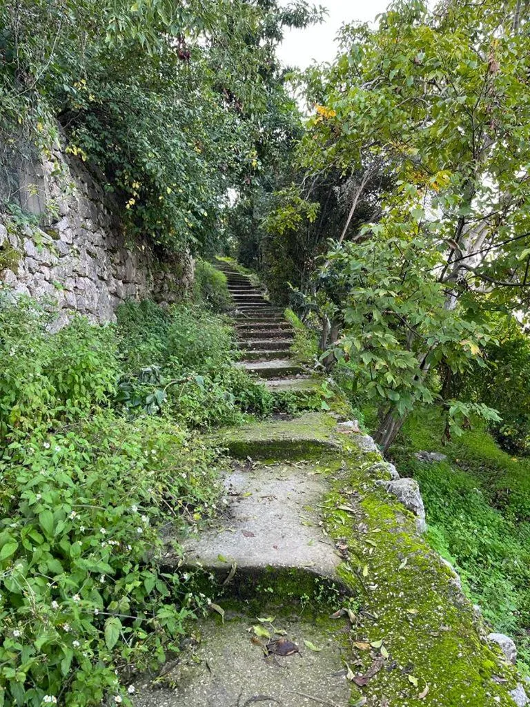 Hiking in Sunrise Hotel