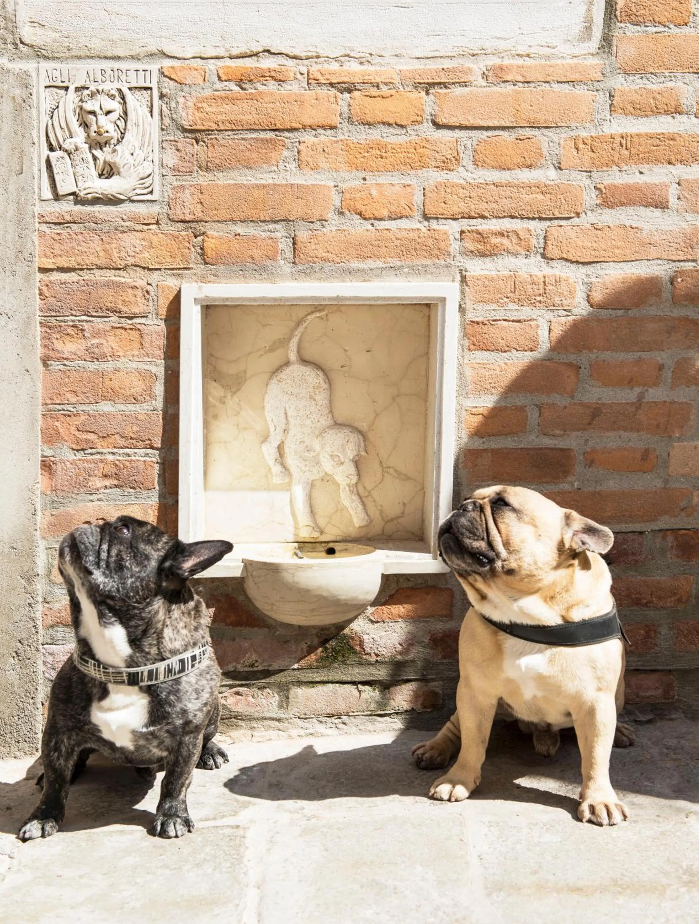 Decorative detail in Hotel Agli Alboretti