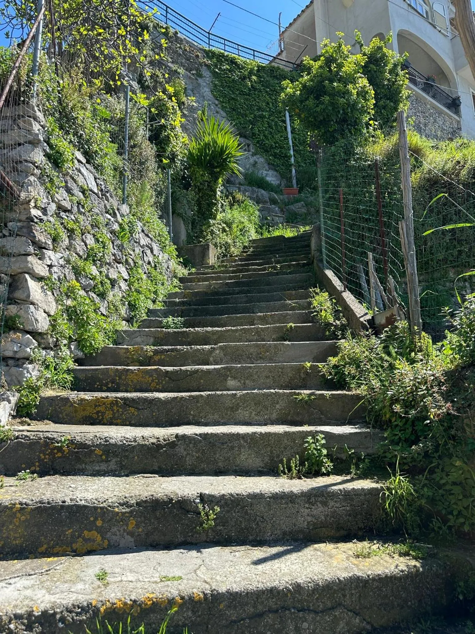 B&B Mamma Rosa Positano