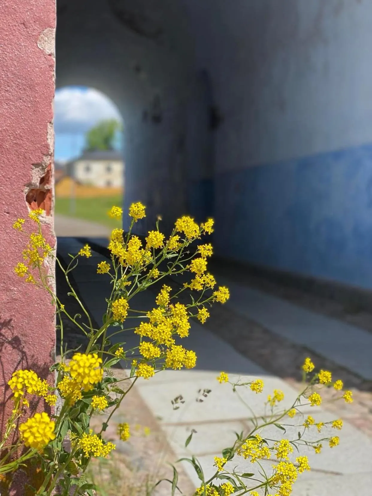 Neighbourhood in Hostel Suomenlinna