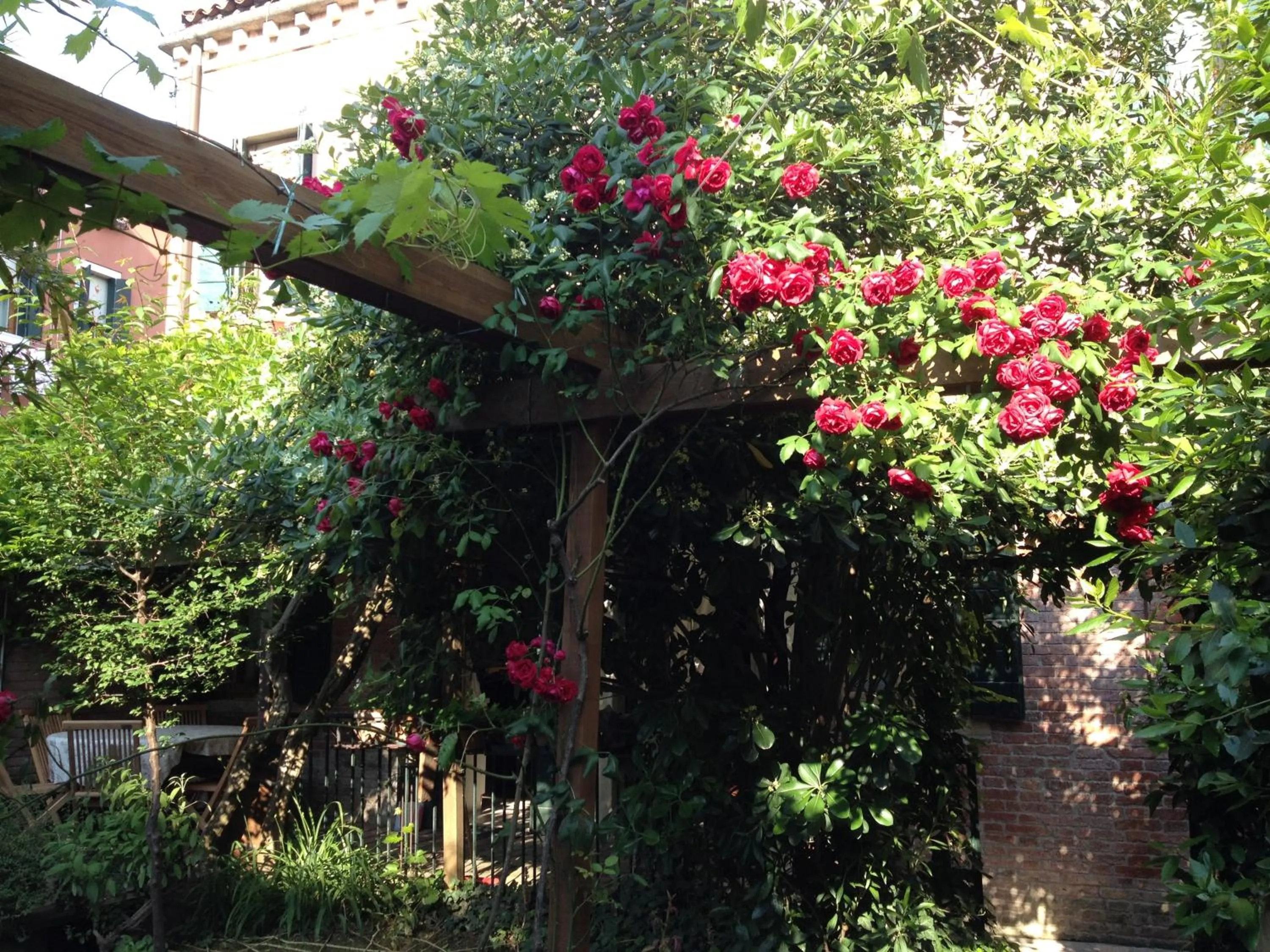 Garden in b&b allo squero