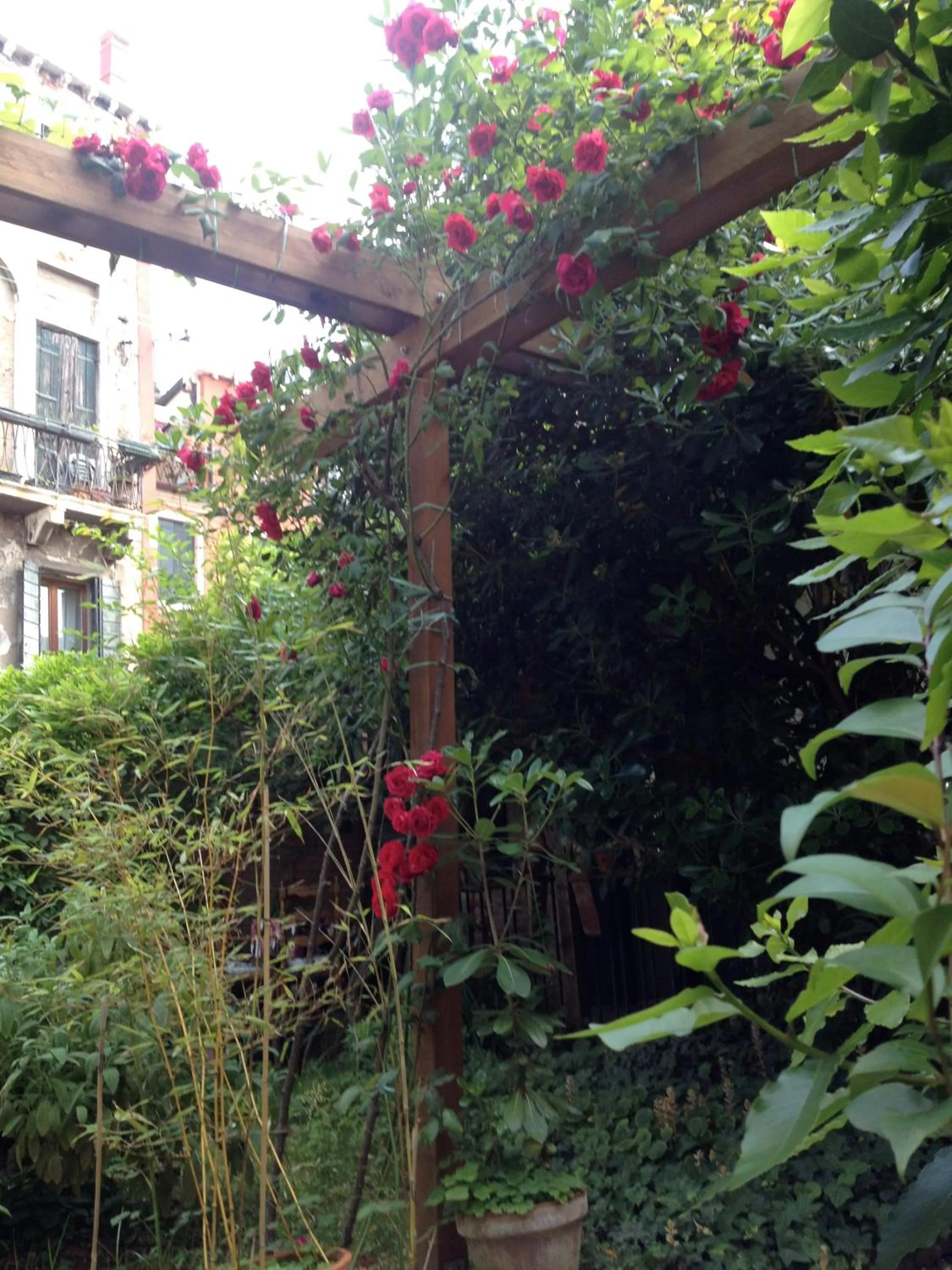 Garden in b&b allo squero