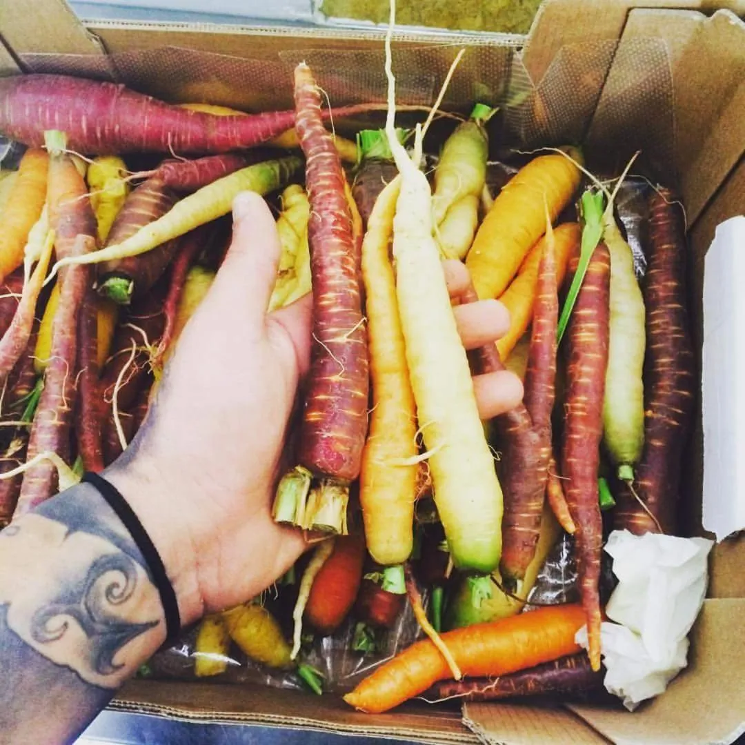 Food and drinks in Alfa Hotel