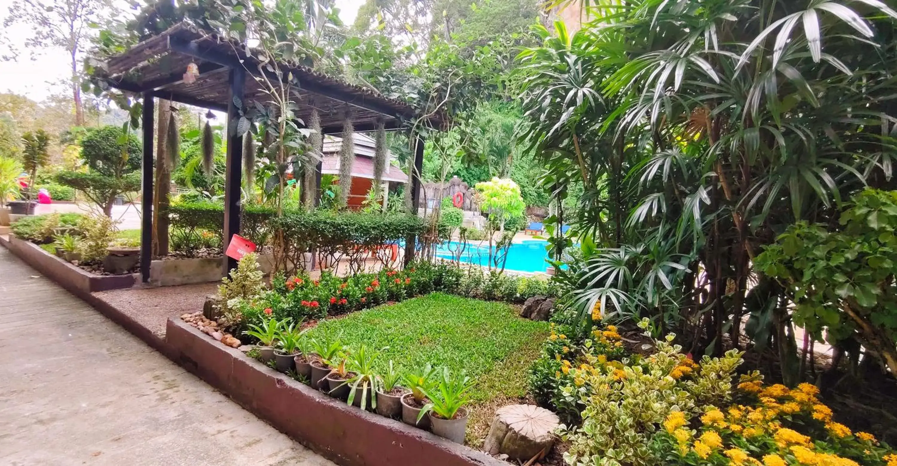 Pool view in Diamond Cave Resort Pool view in Diamond Cave Resort