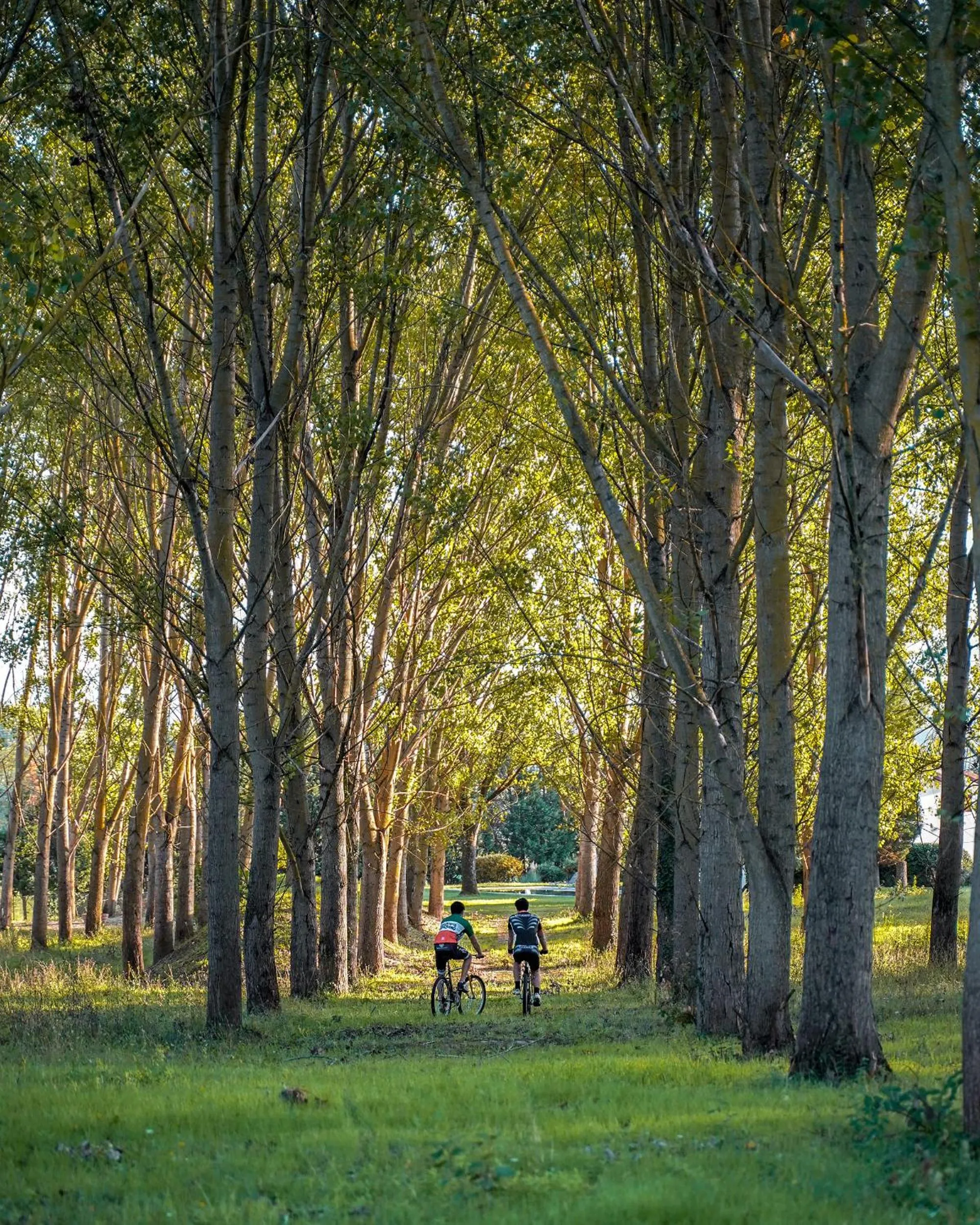 Activities in Viesca Toscana Suites & Villas